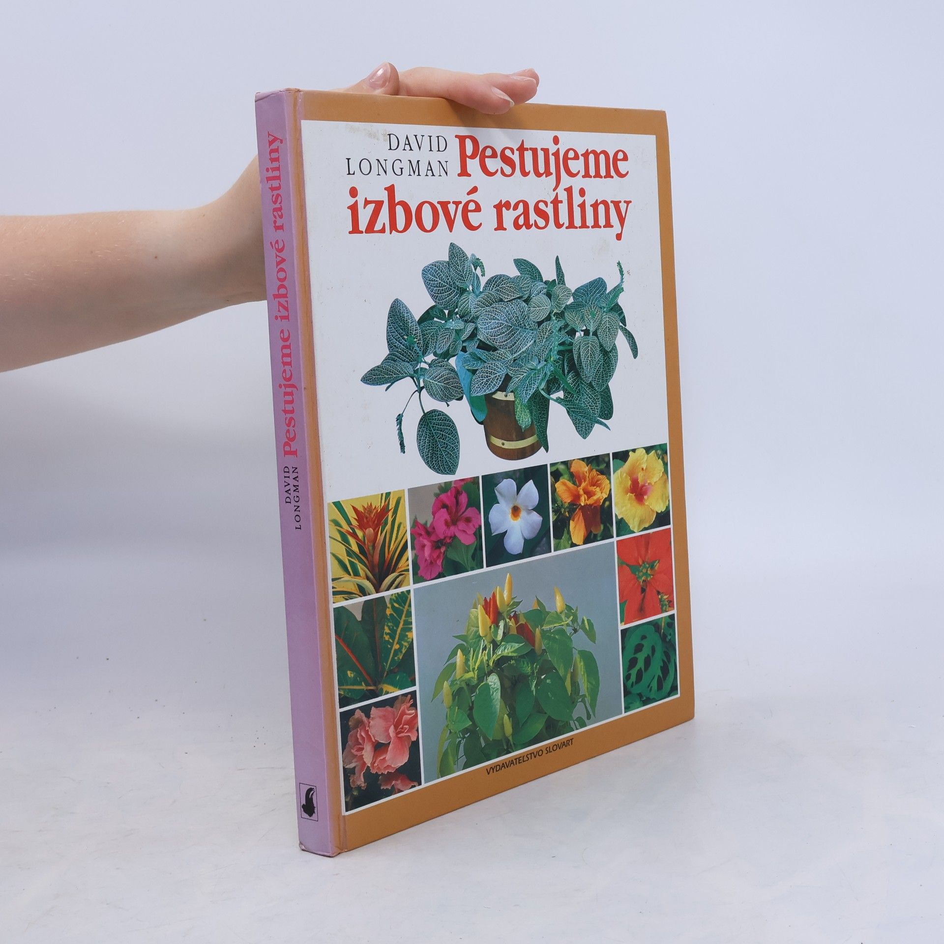 David Longman Pestujeme izbové rastliny