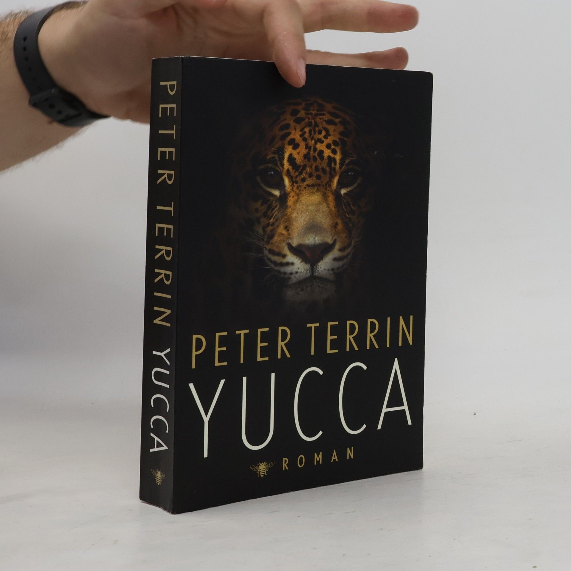 Peter Terrin Yucca
