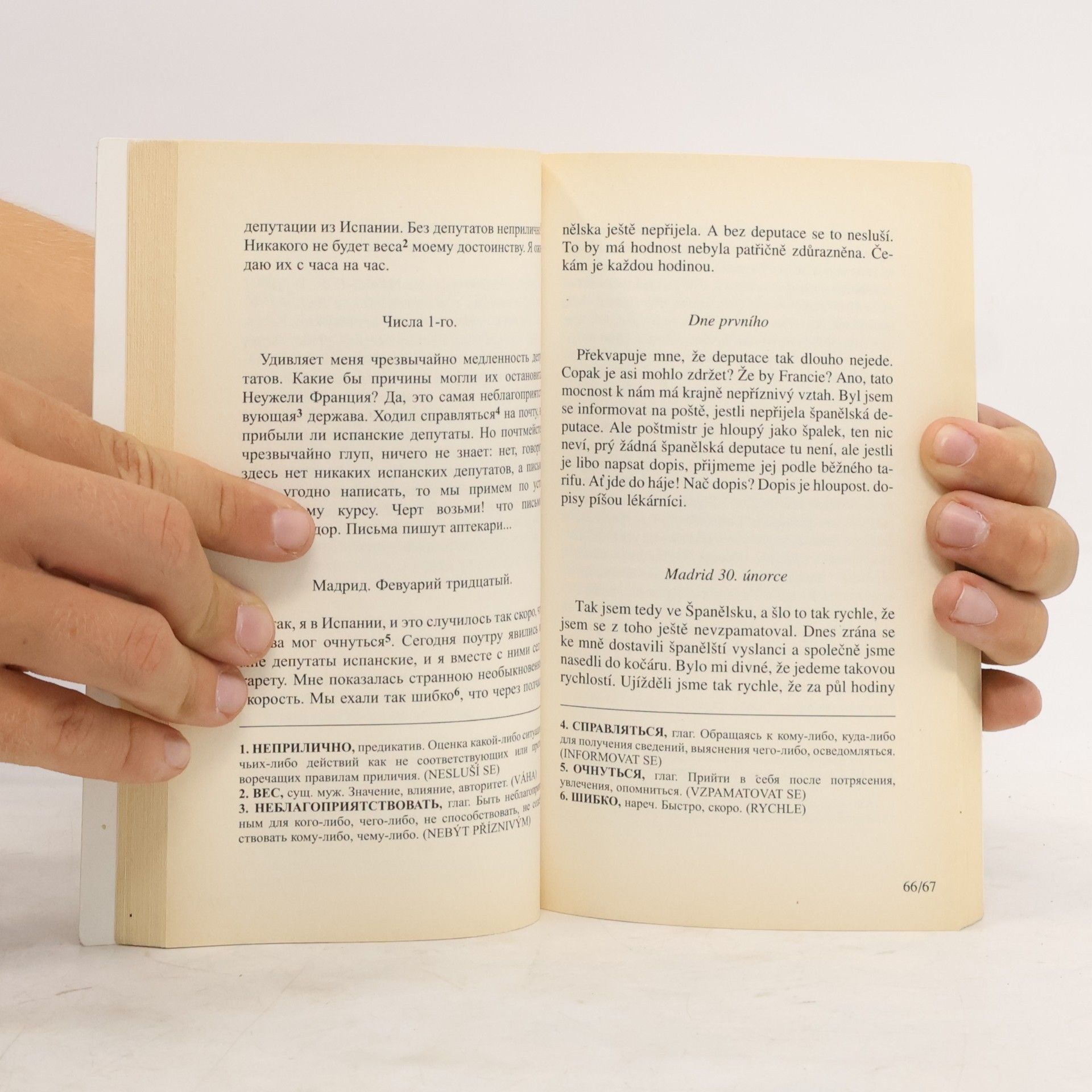 Nikolaj Vasiljevič Gogol Bláznovy zápisky. Zapiski sumasšedšego
