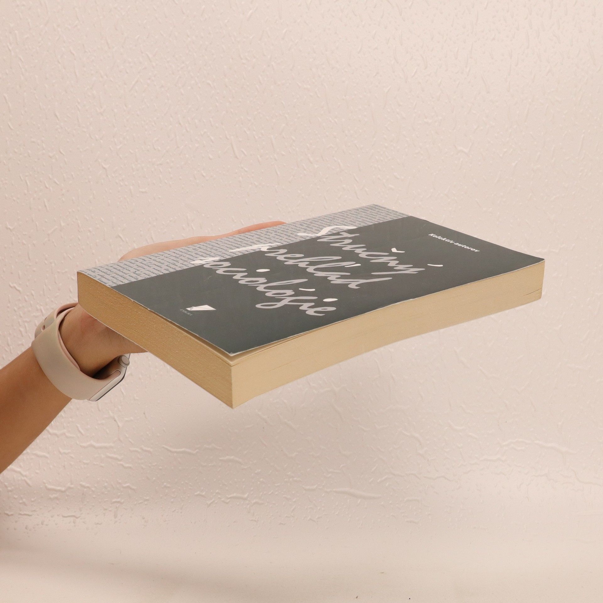 Autores varios Stručný prehľad sociológie