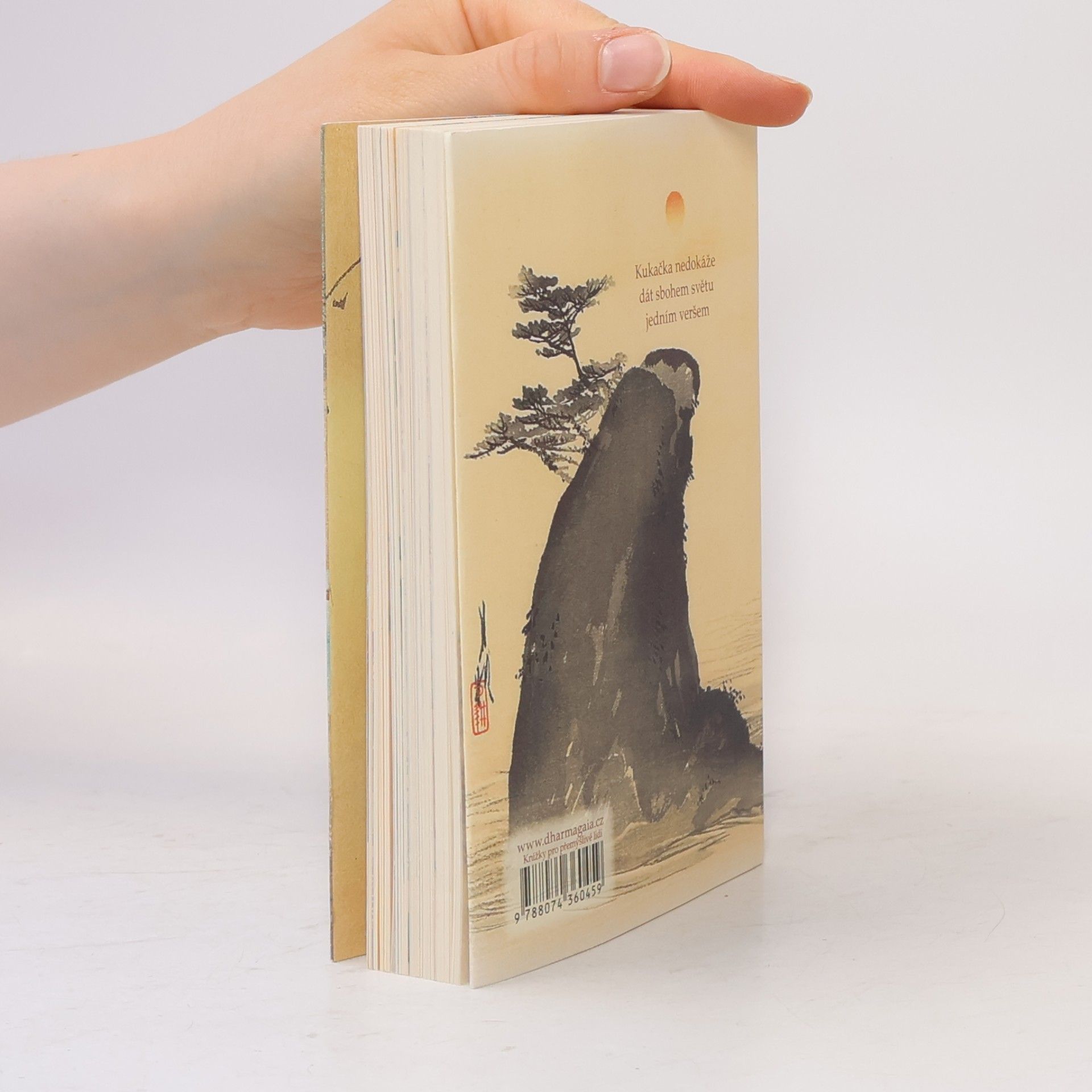 Shiki Masaoka Pod tíhou měsíce