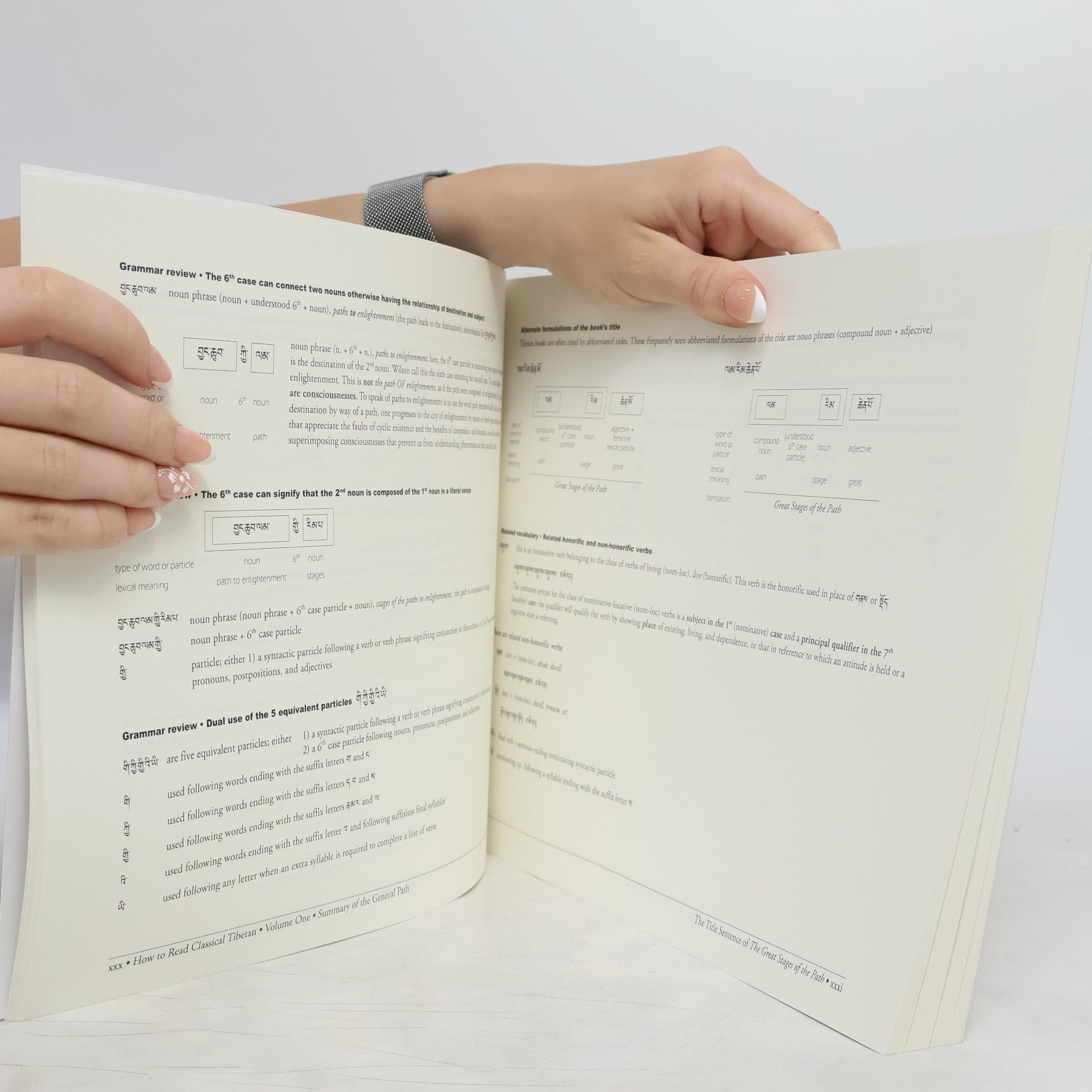 Craig Preston How to Read Classical Tibetan