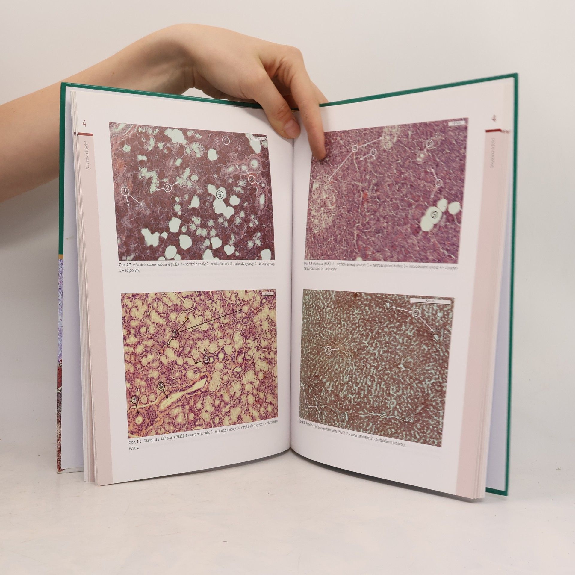 Jindřich Martínek Histologický atlas