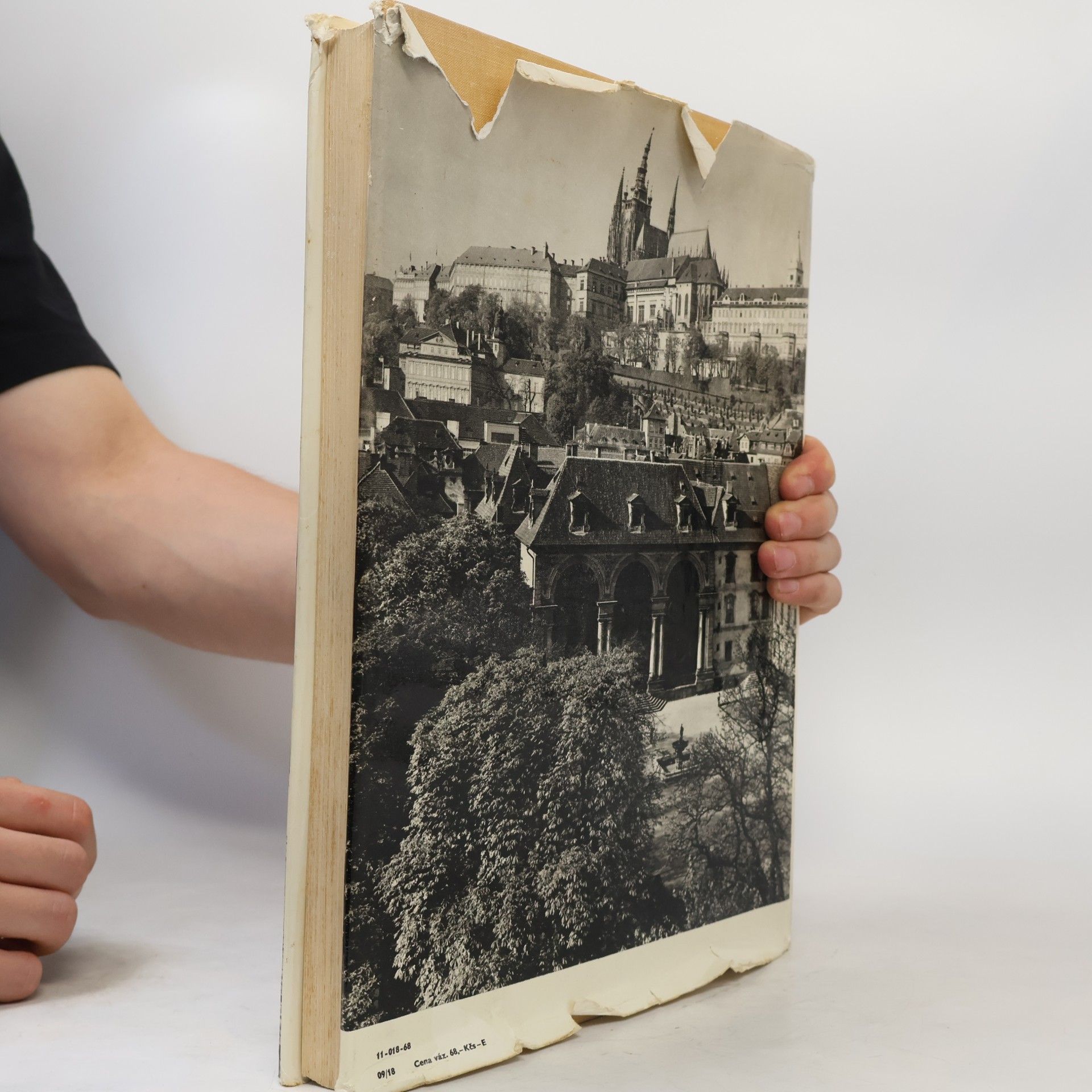 Karel Plicka Praha ve fotografii
