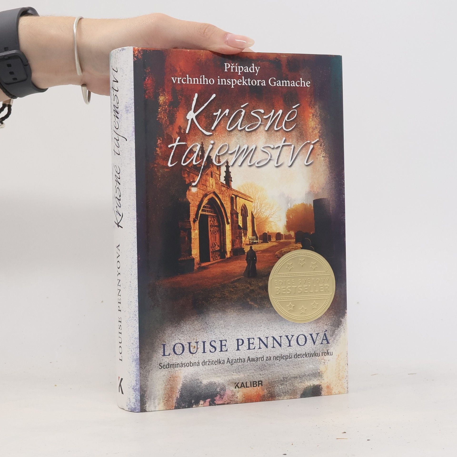 Louise Penny Krásné tajemství