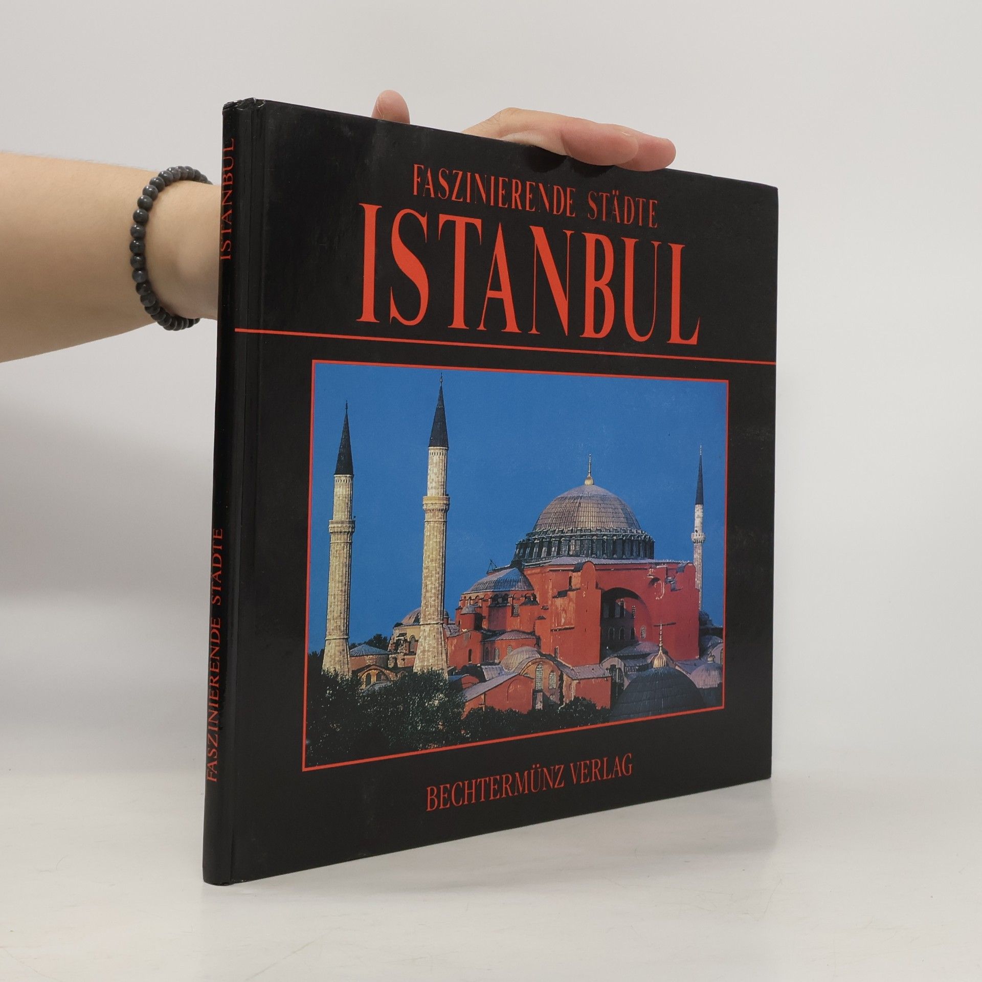 Giulio Veggi Faszinierende Städte. Istanbul