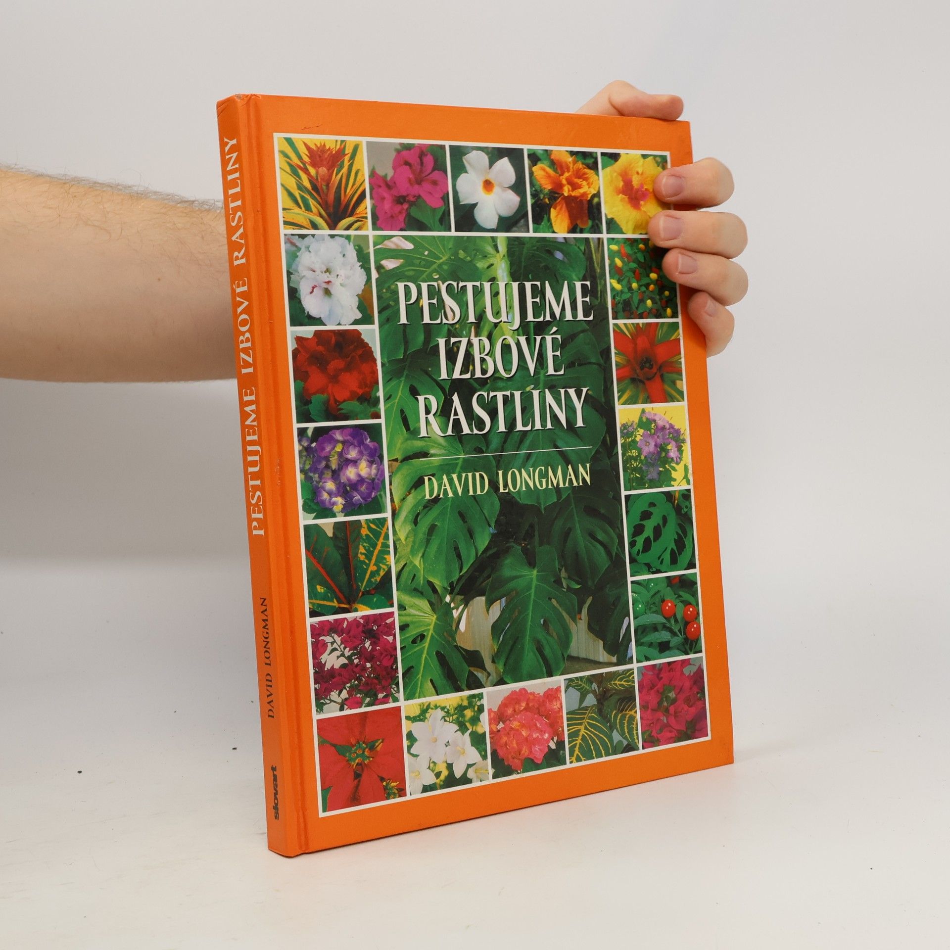 David Longman Pestujeme izbové rastliny