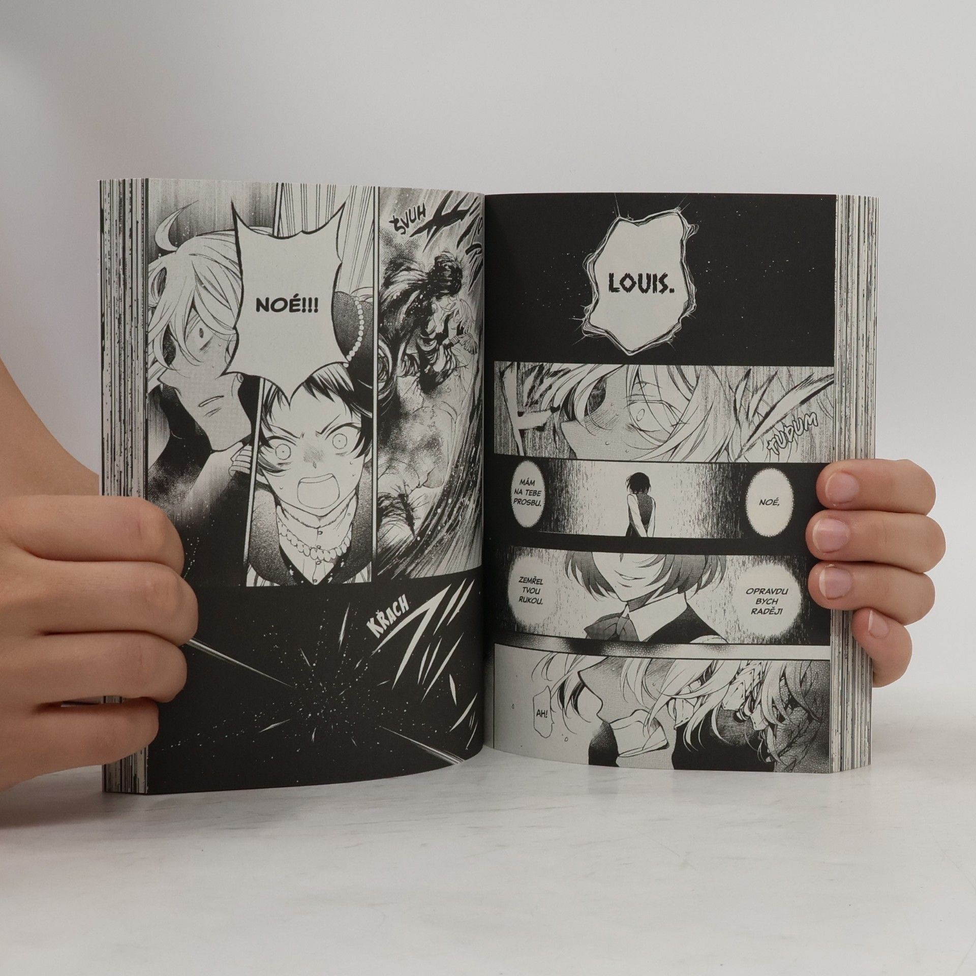 Jun Mochizuki Vanitas 2. Magická kniha