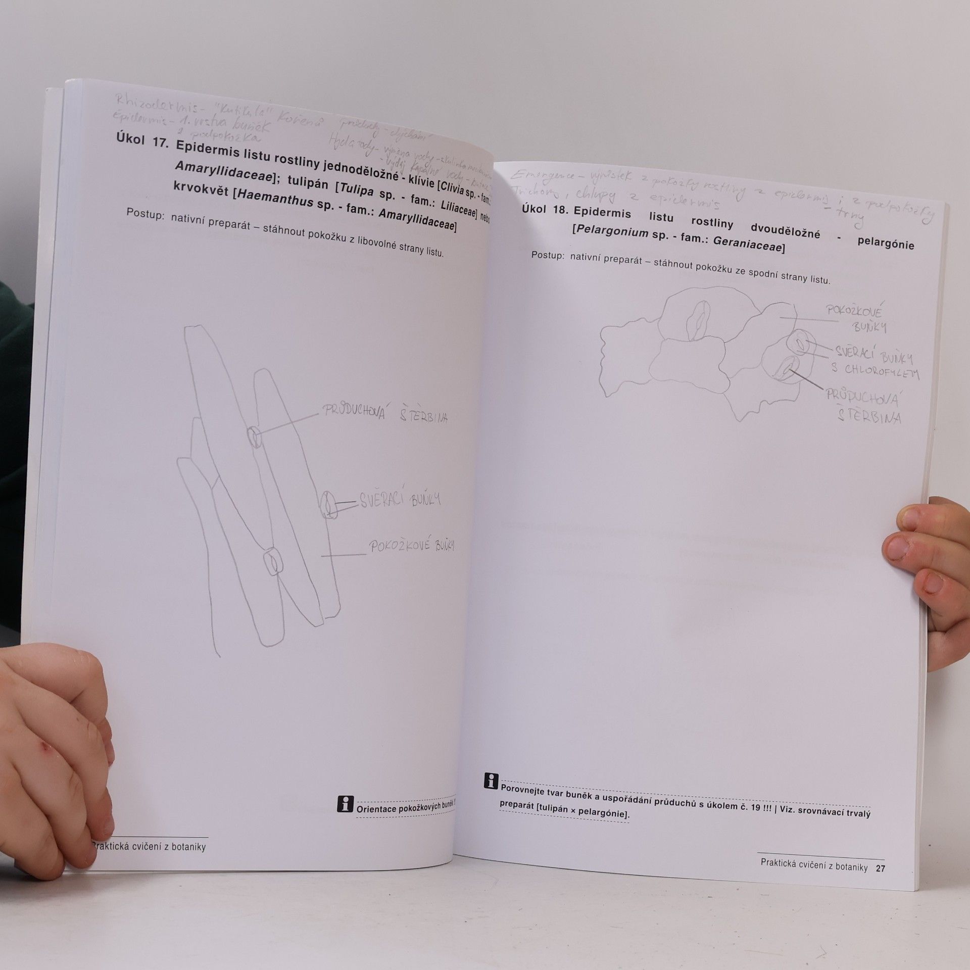 Milan Skalický Praktická cvičení z botaniky