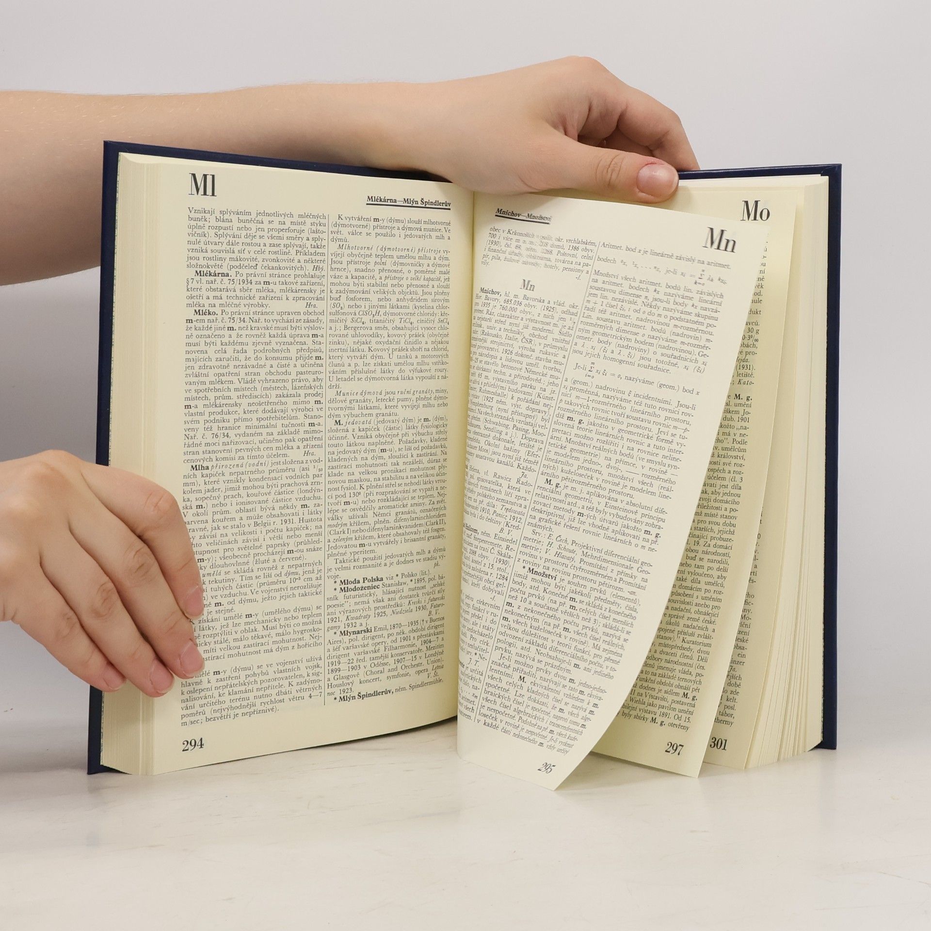 Autorenkollektiv Ottův slovník naučný. Dodatky. Majon-Od IV/1
