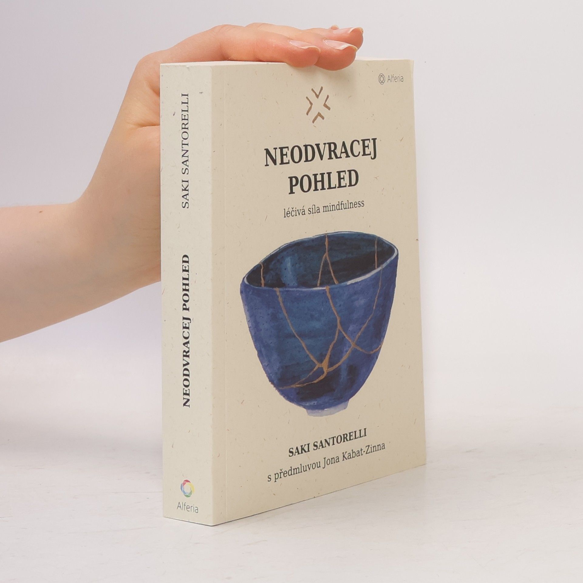Saki Santorelli Neodvracej pohled : léčivá síla mindfulness