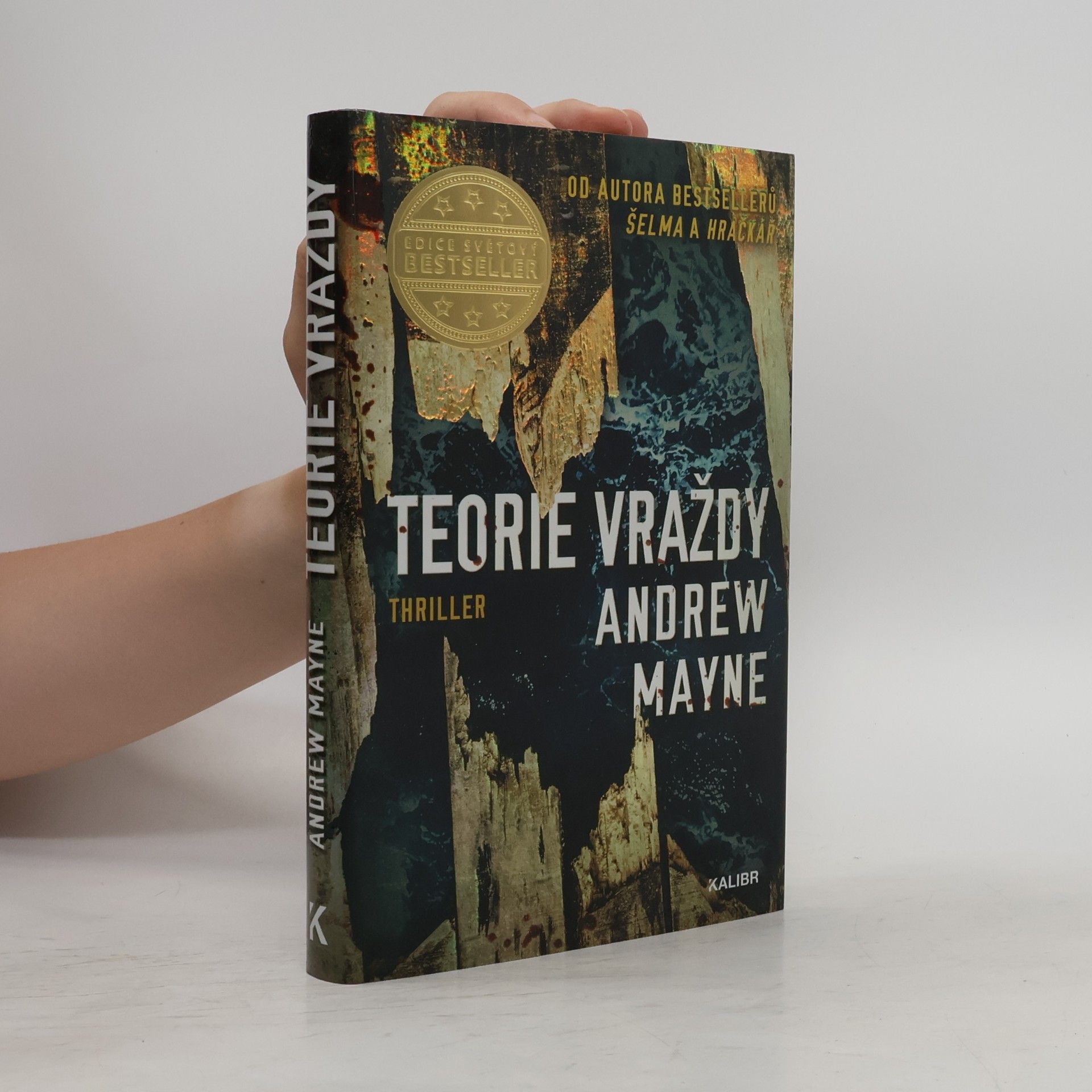 Andrew Mayne Teorie vraždy