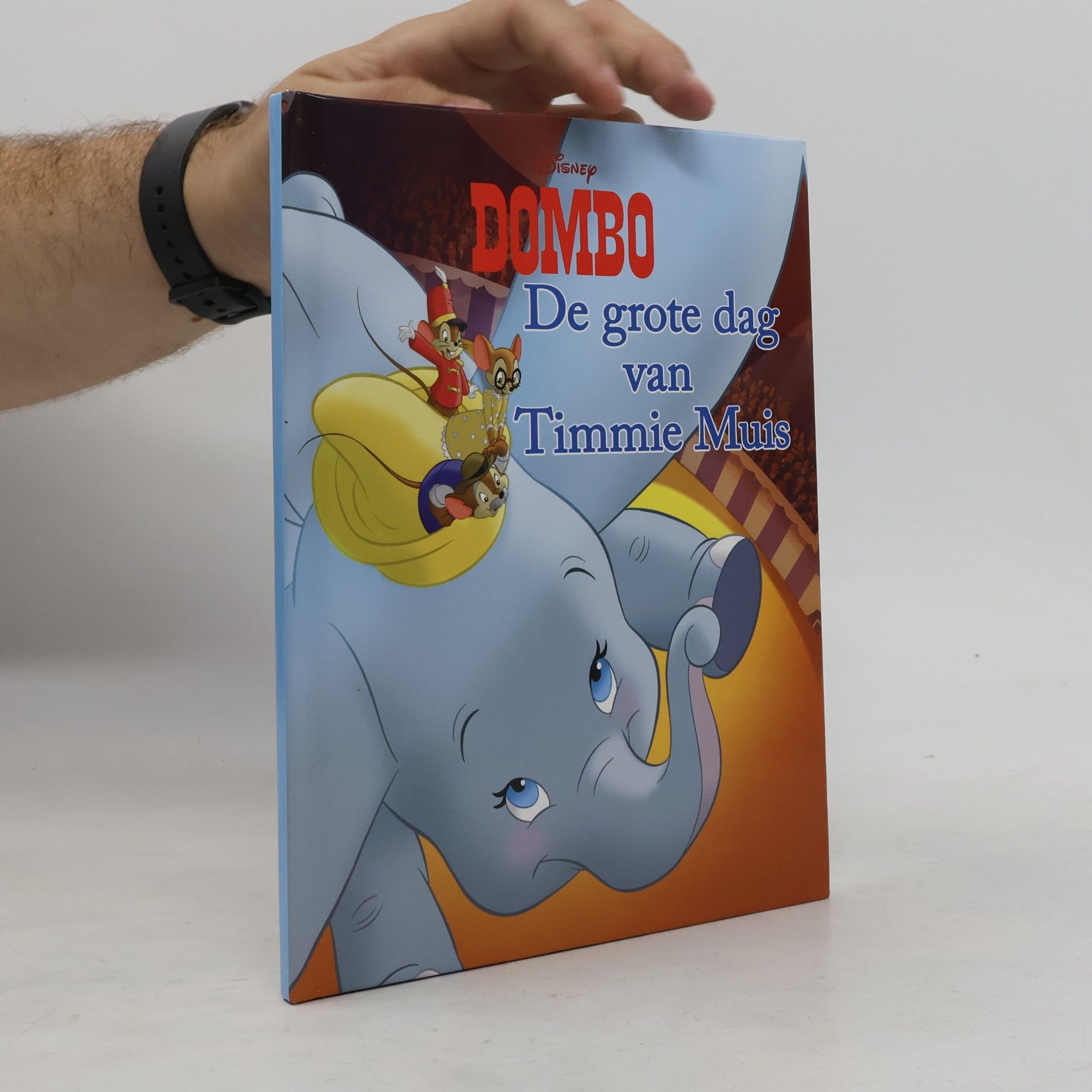 Brooke Vitale Dombo: De grote dag van Timmie Muis