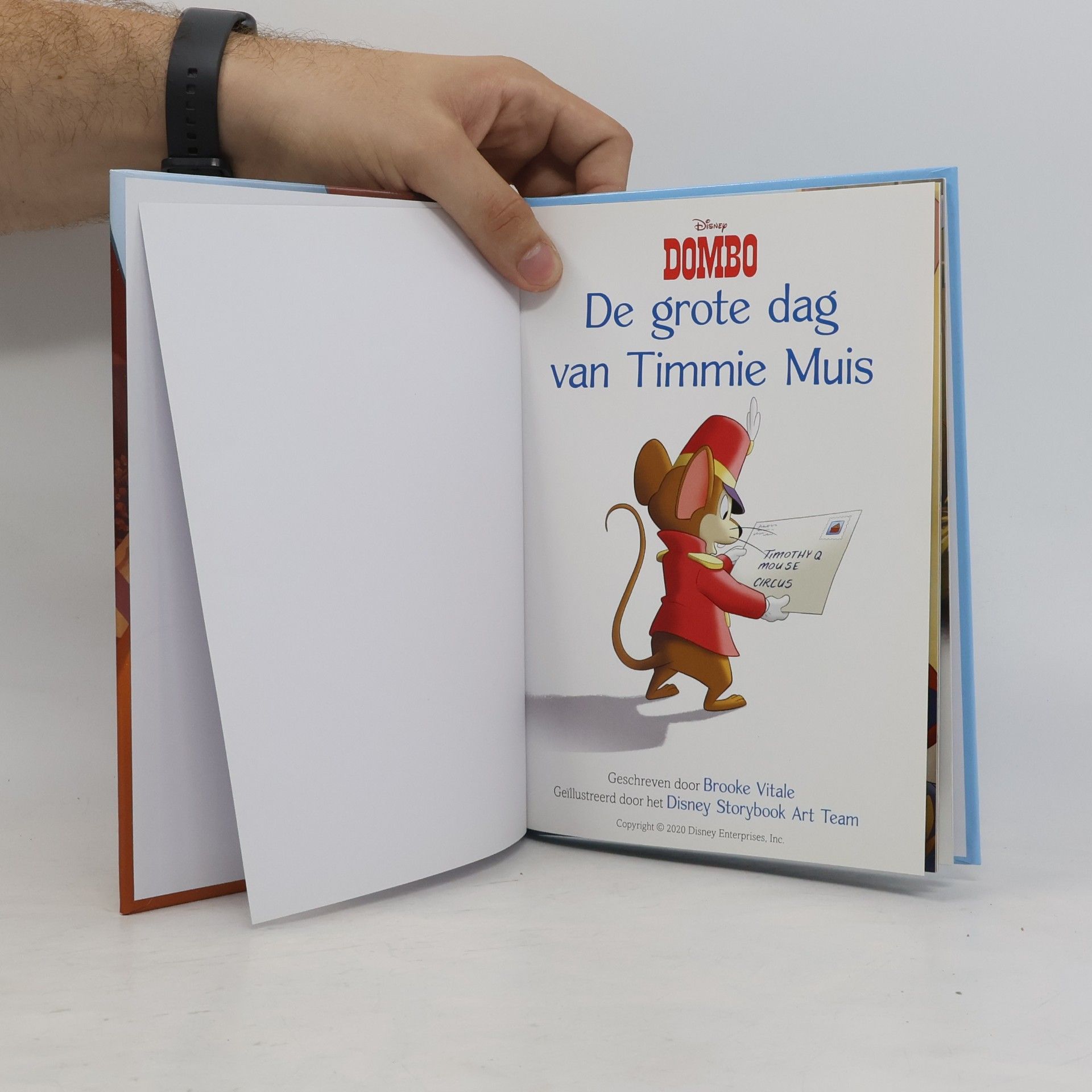 Brooke Vitale Dombo: De grote dag van Timmie Muis