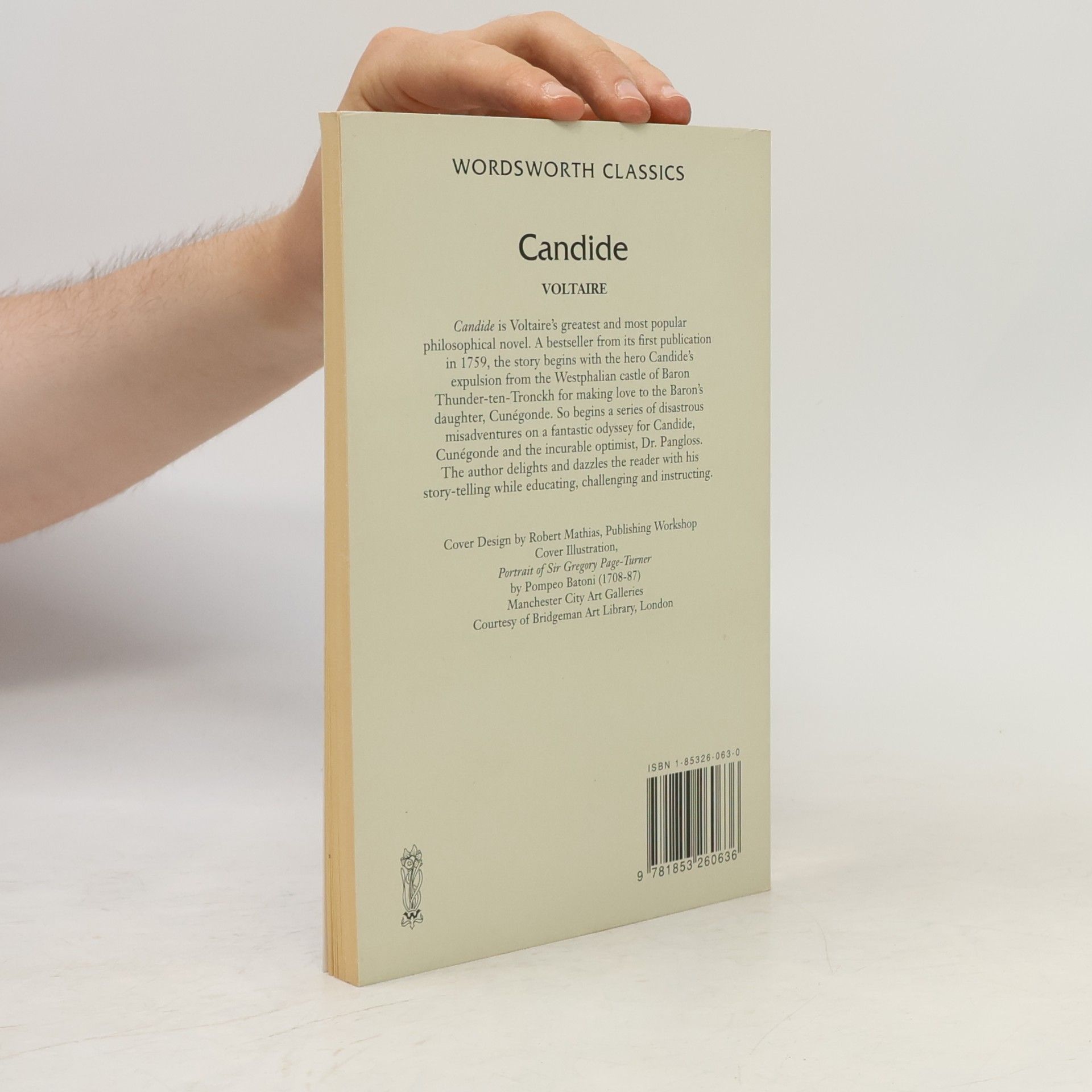 Voltaire Candide or optimism