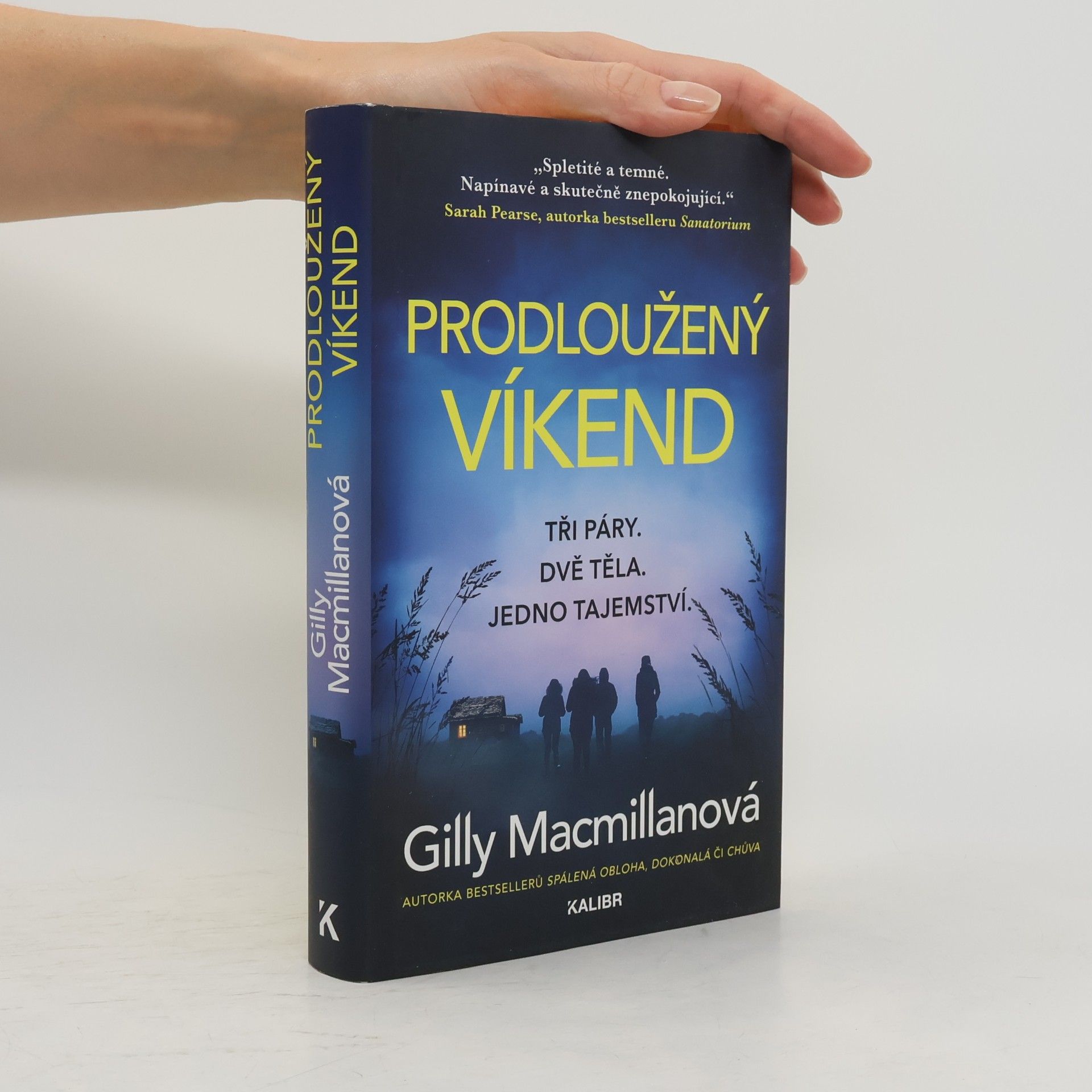 Gilly Macmillan Prodloužený víkend