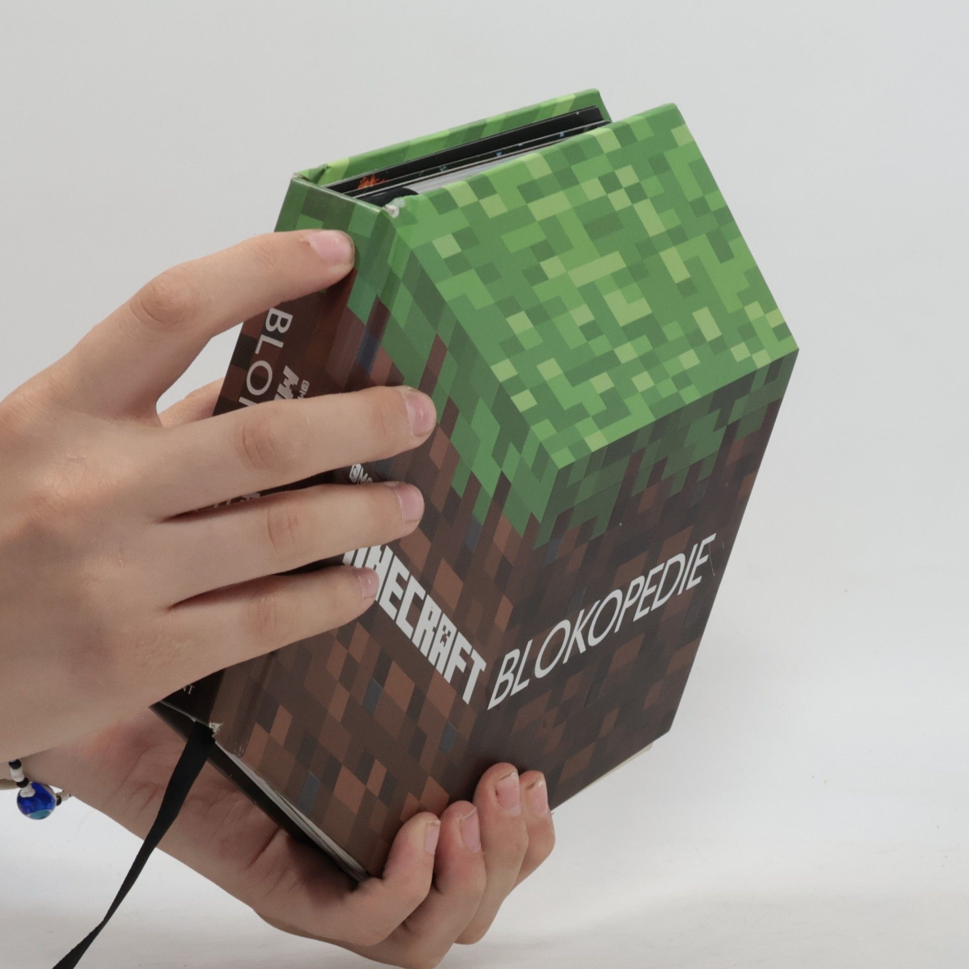 Mojang Minecraft Blokopedie