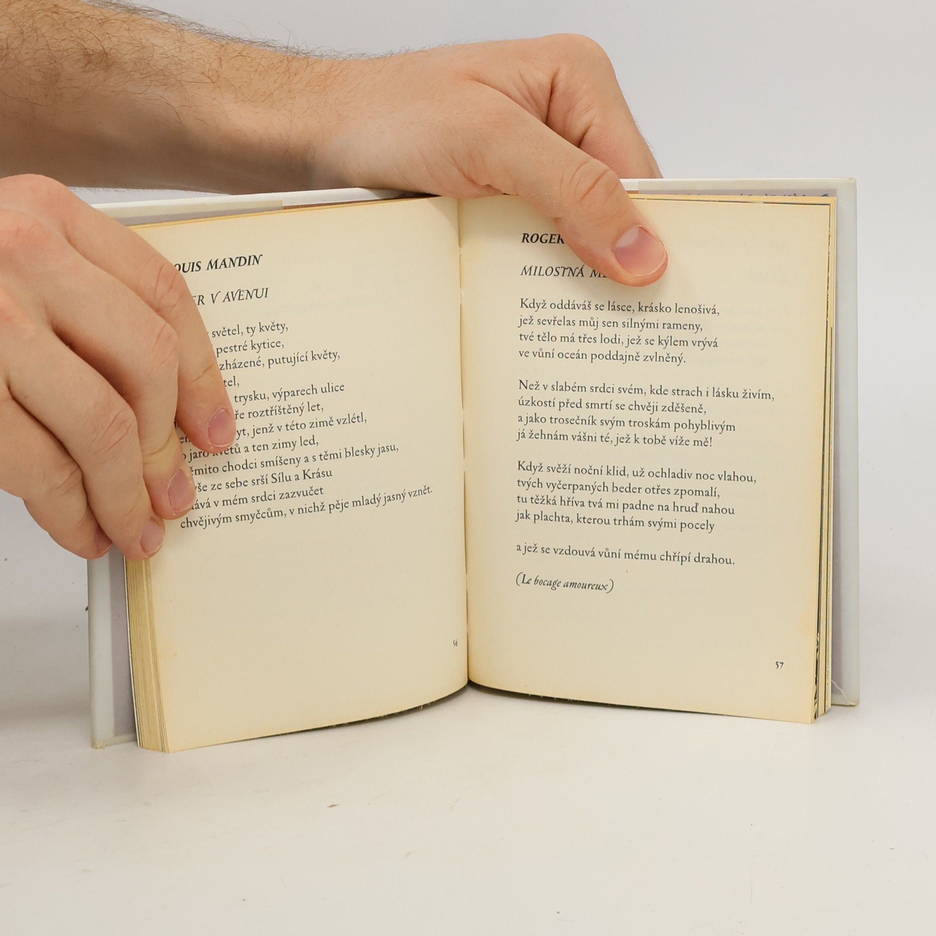Karel Čapek Hořké slunce: Z francouzské poezie nové doby
