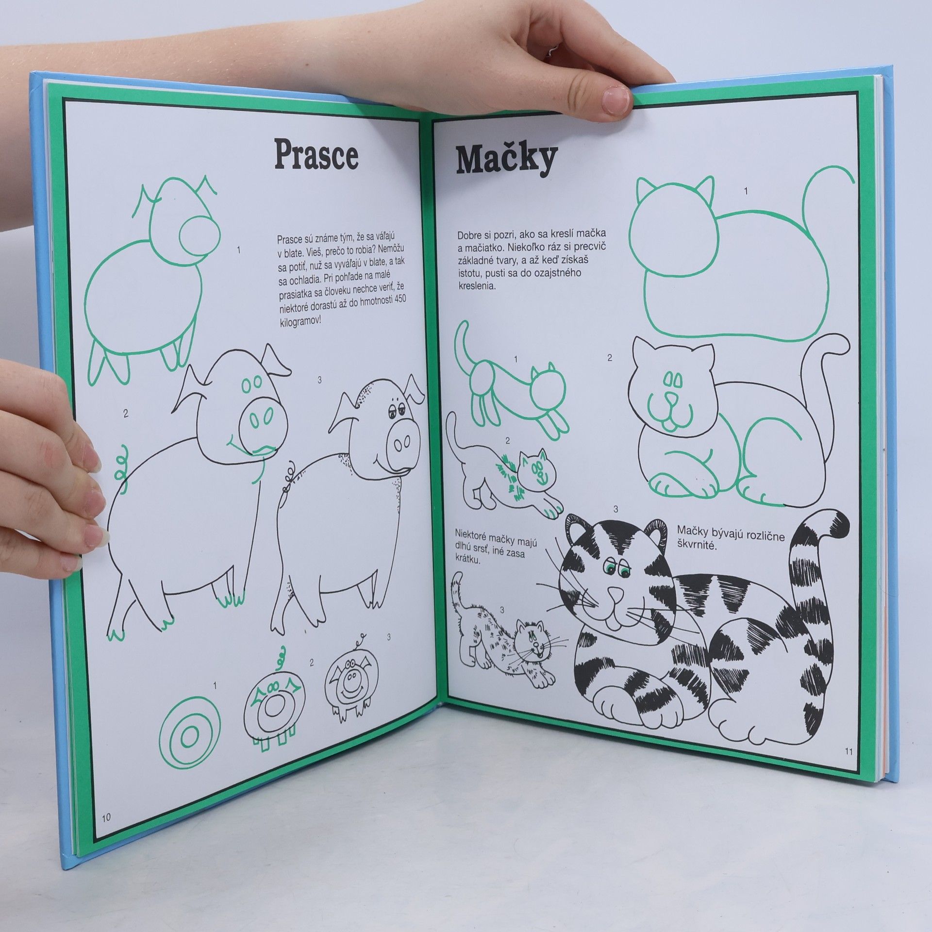 Autores varios Ako kresliť