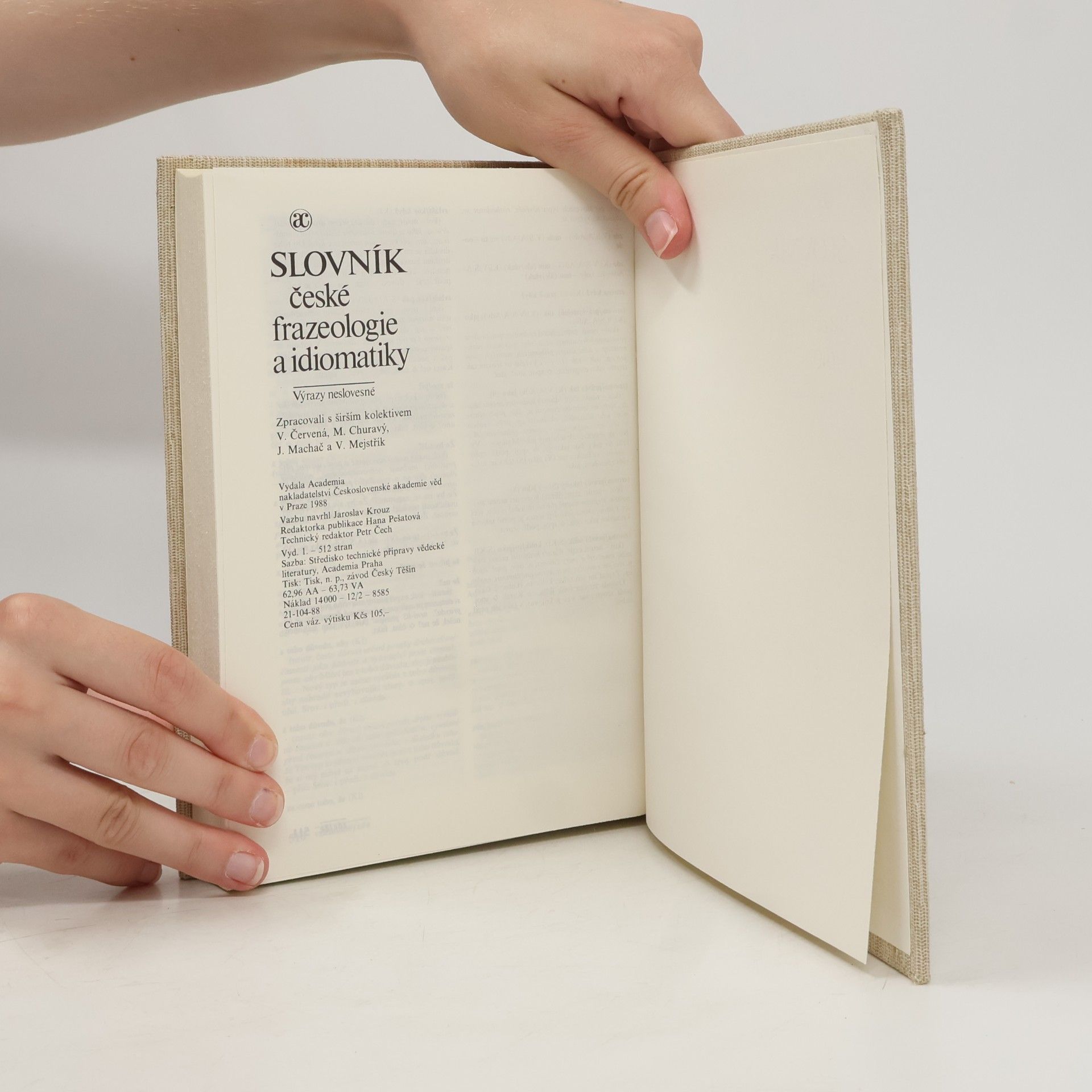 František Čermák Slovník české frazeologie a idiomatiky. Výrazy neslovesné