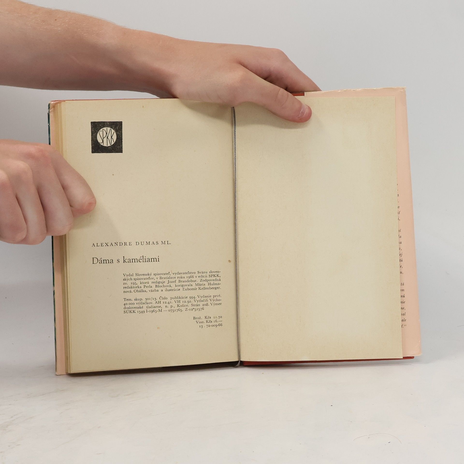 Alexandre Dumas der Jüngere Dáma s kaméliami