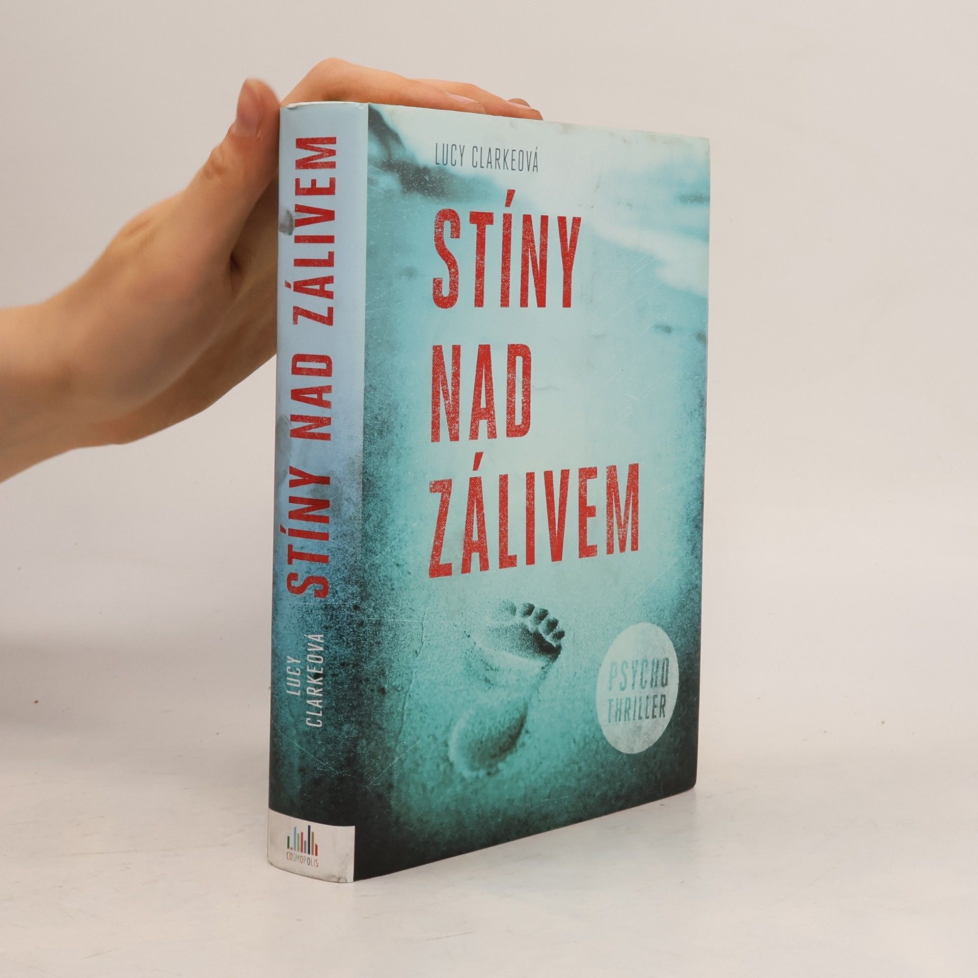 Lucy Clarke Stíny nad zálivem