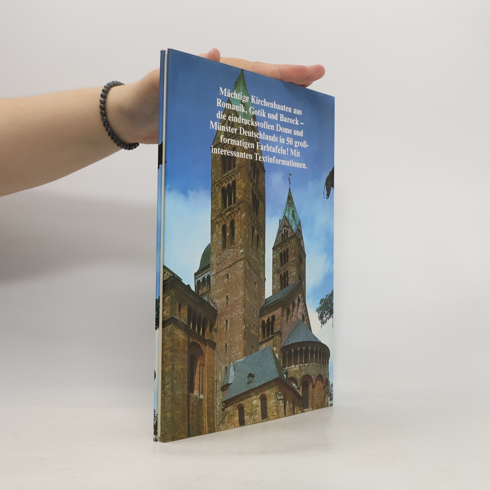 Kolektiv autorů Dome in Deutschland