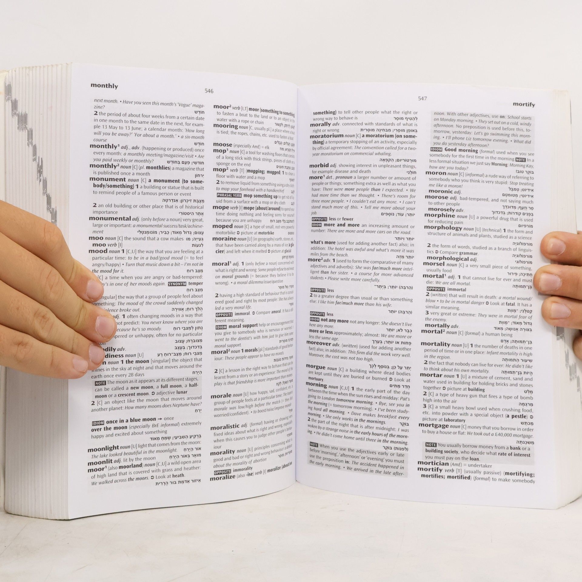 Raphael Gefen New Oxford Student's Dictionary