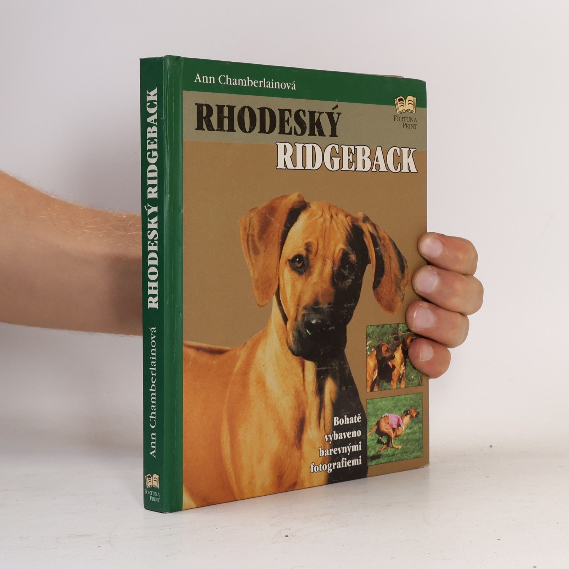 Ann Chamberlain Rhodeský ridgeback