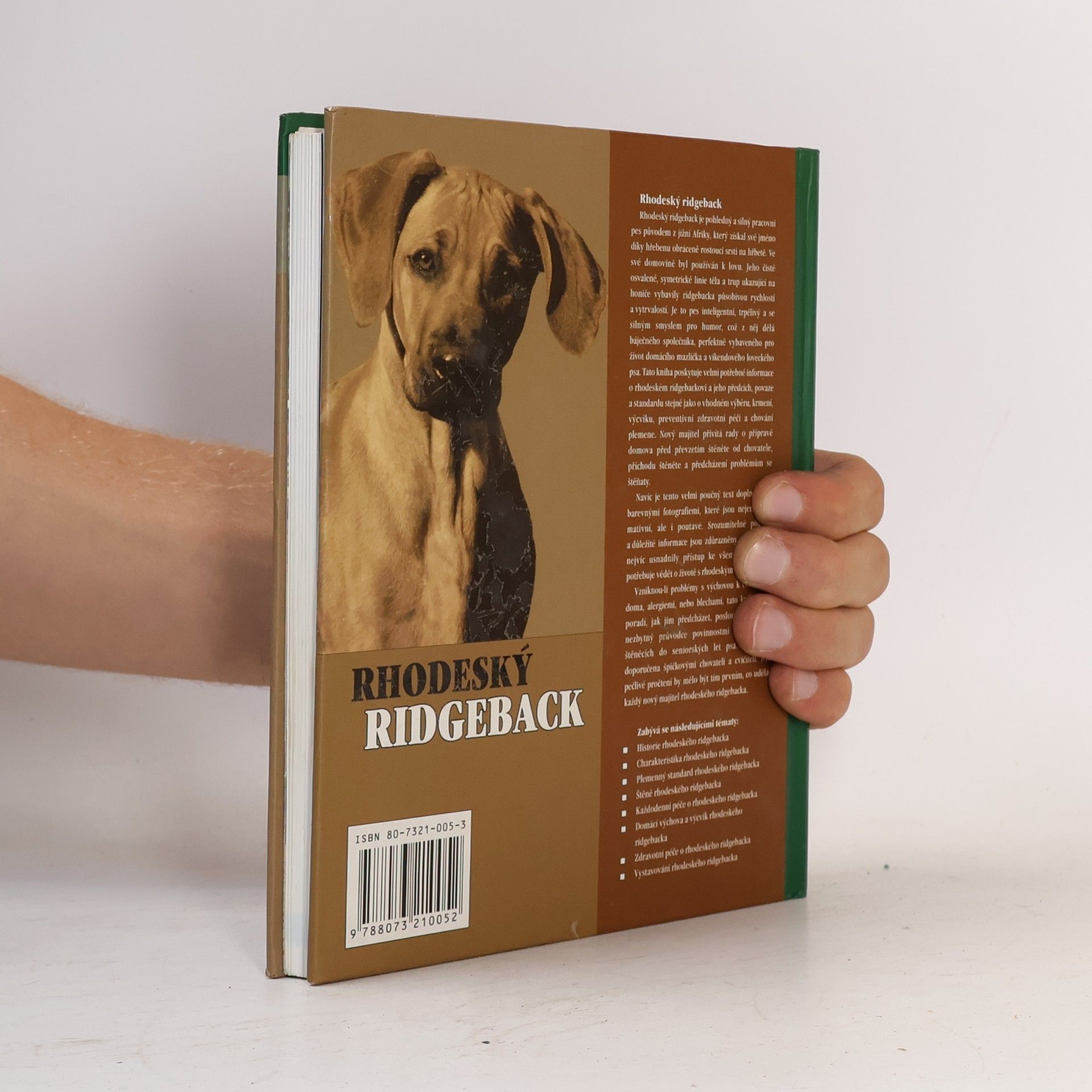 Ann Chamberlain Rhodeský ridgeback