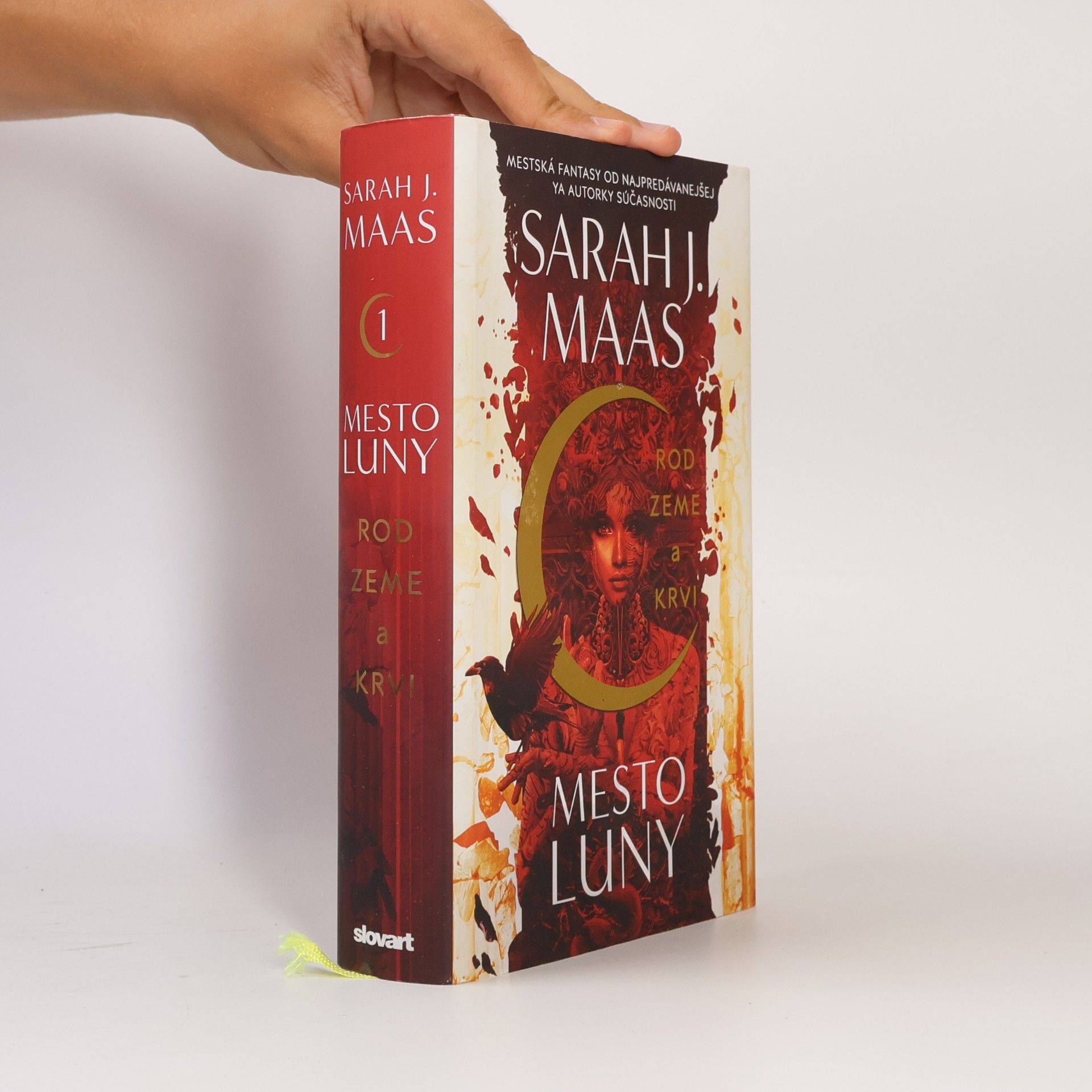 Sarah J. Maasová Rod zeme a krvi