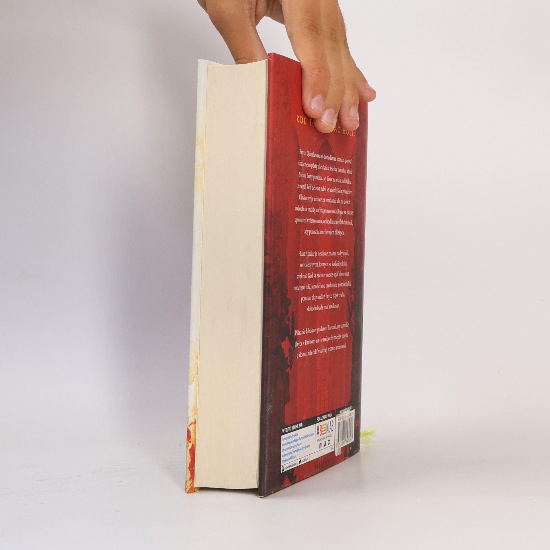 Sarah J. Maas Rod zeme a krvi