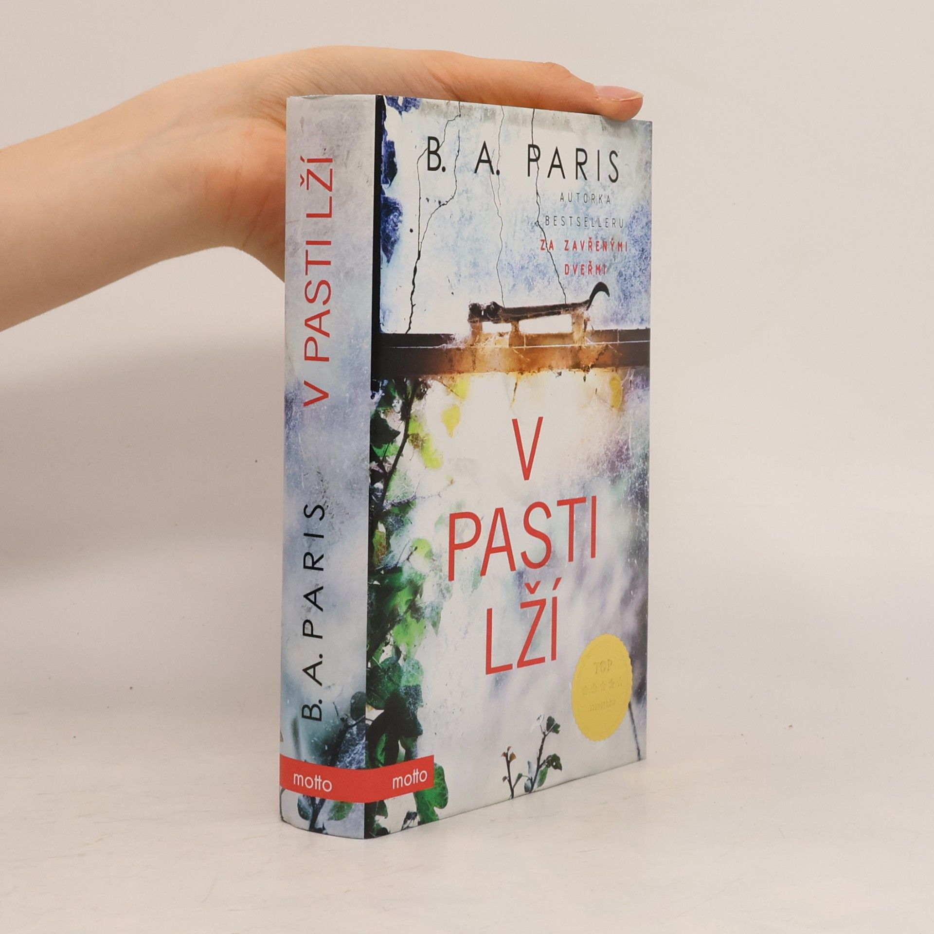 B.A. Paris V pasti lží