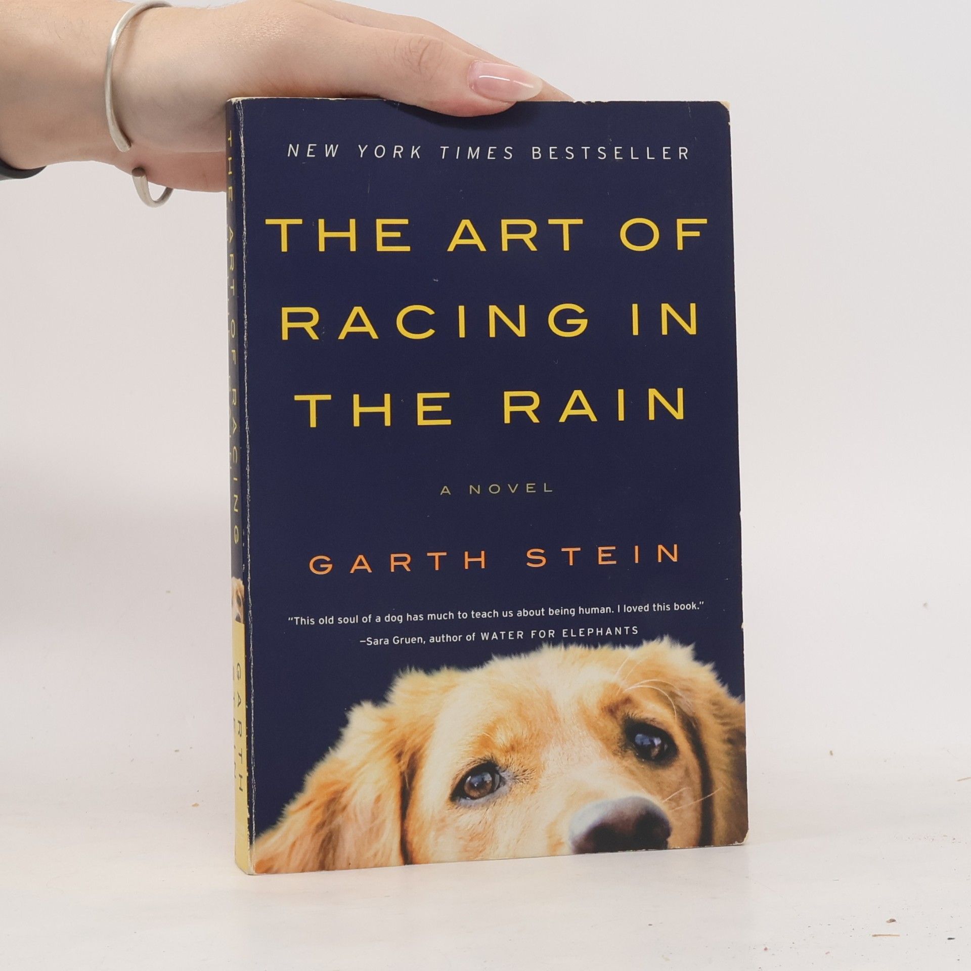 Garth Stein The Art of Racing in the Rain