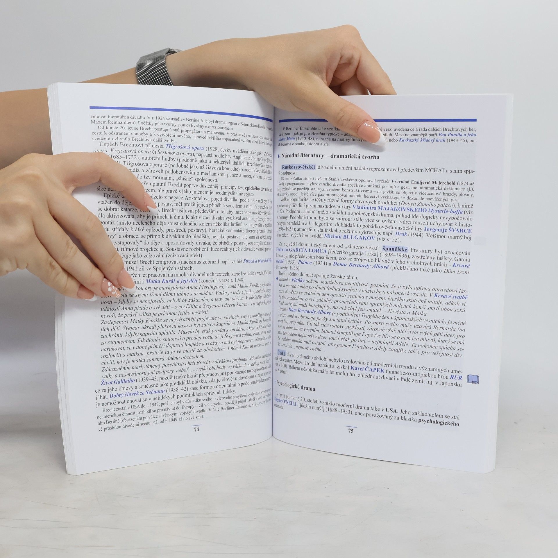 Josef Soukal Přehled dějin literatury: pro střední školy