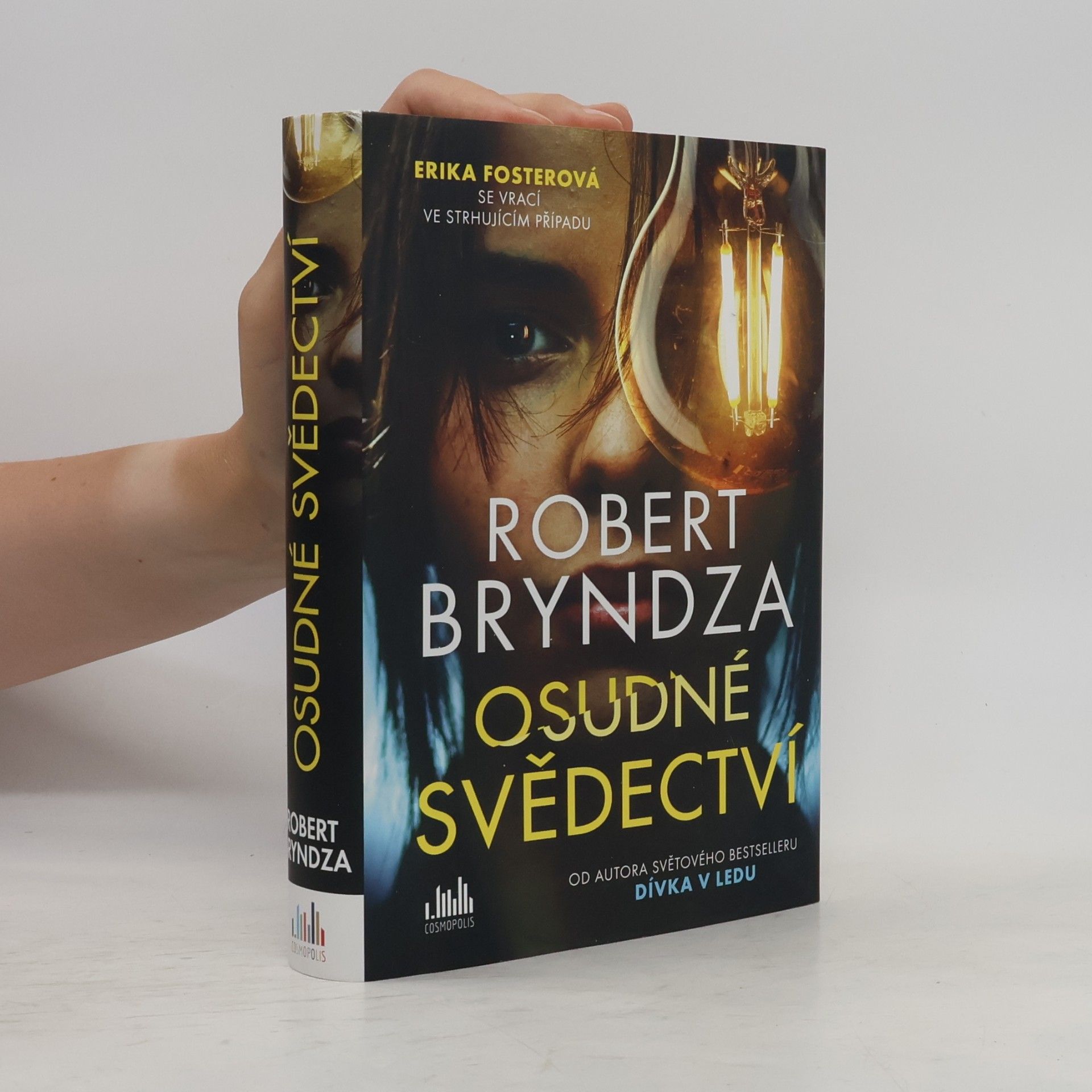 Robert Bryndza Osudné svědectví