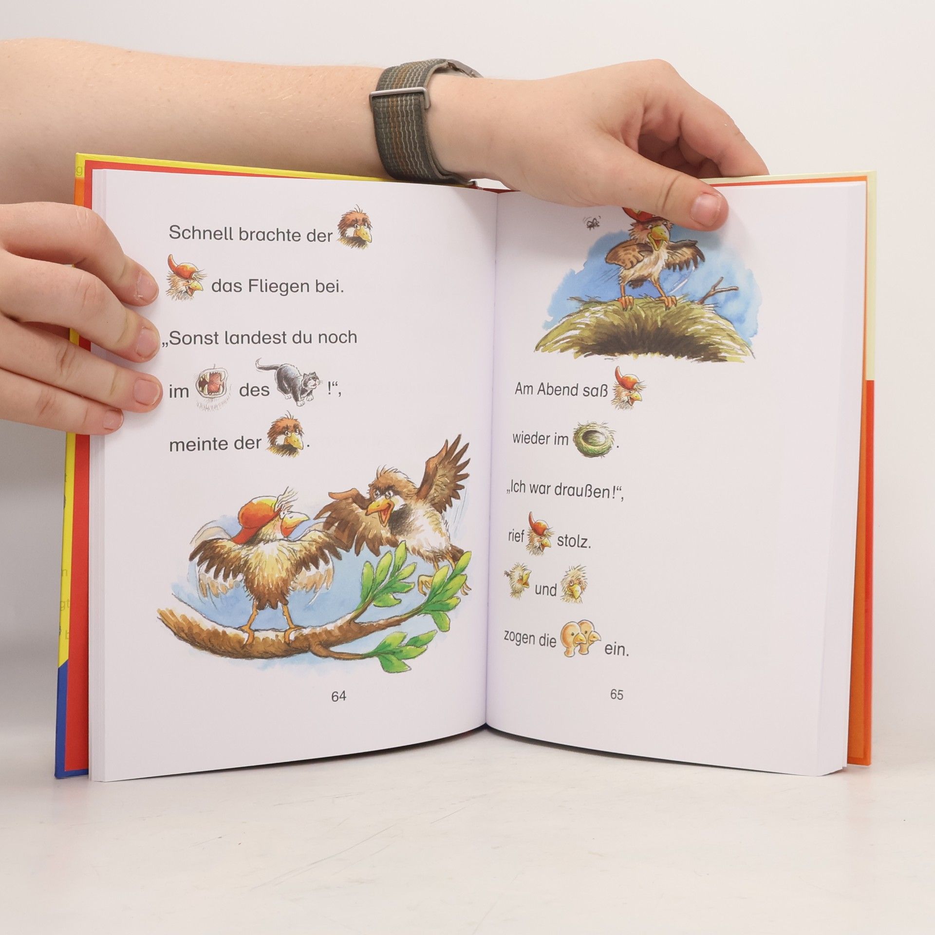 Autorenkollektiv Die allerbesten Bildergeschichten