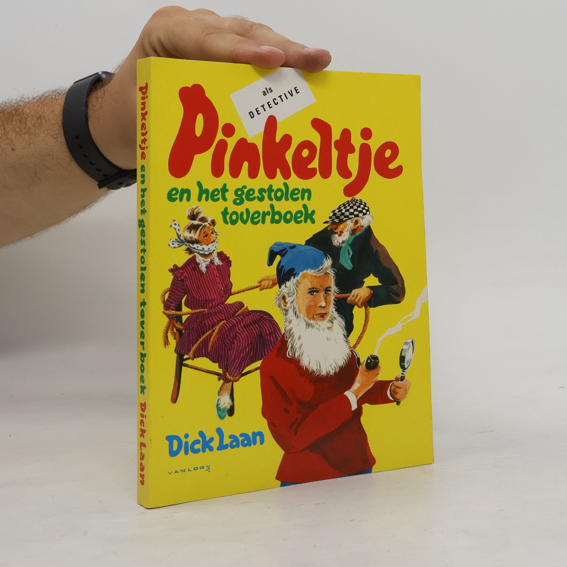 Dick Laan Pinkeltje en het gestolen toverboek