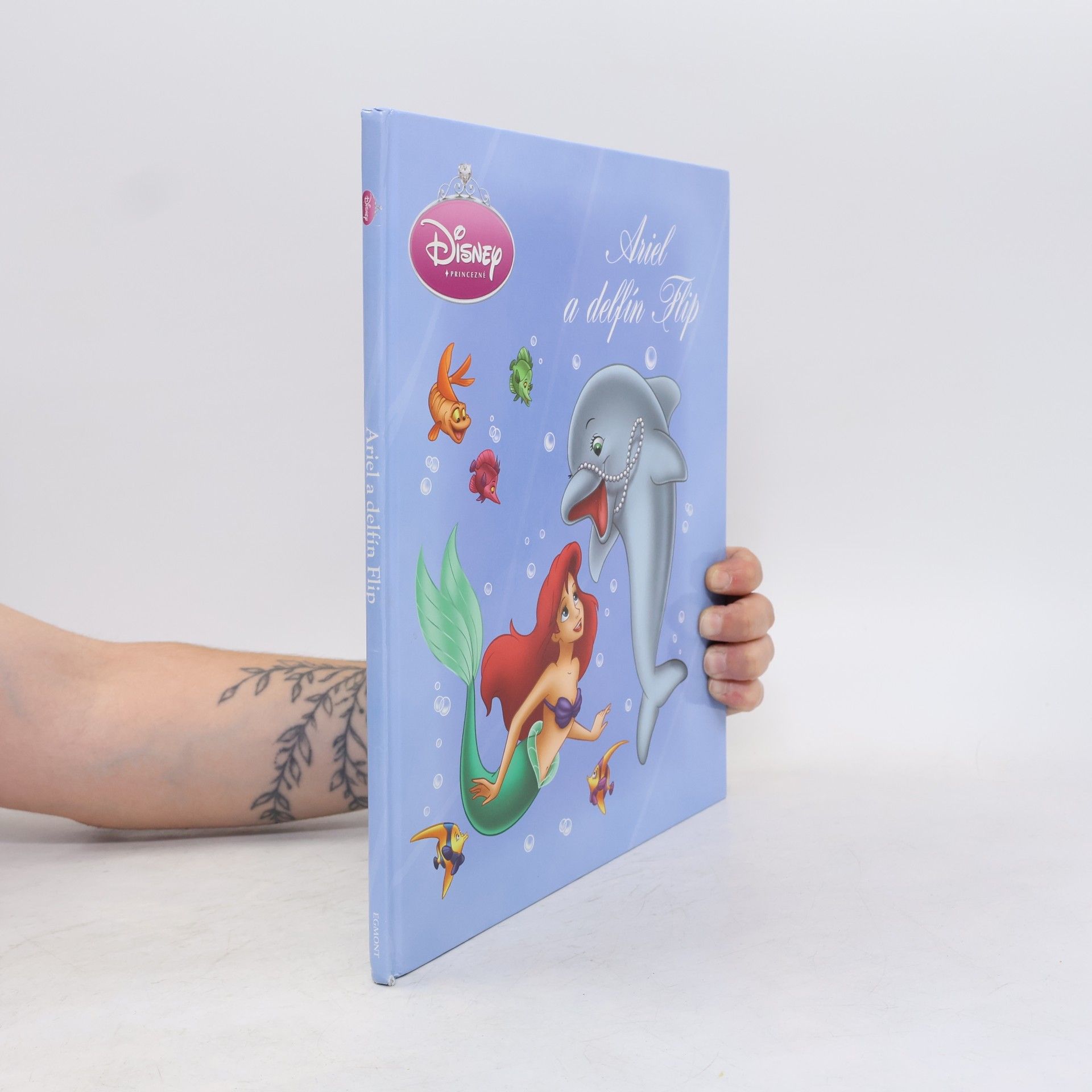 Kolektiv autorů Ariel a delfín Flip