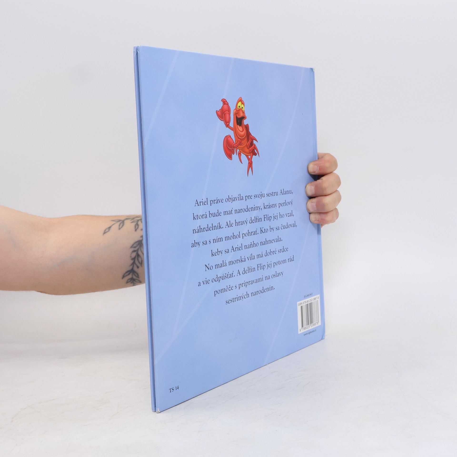 Collectif d'auteurs Ariel a delfín Flip