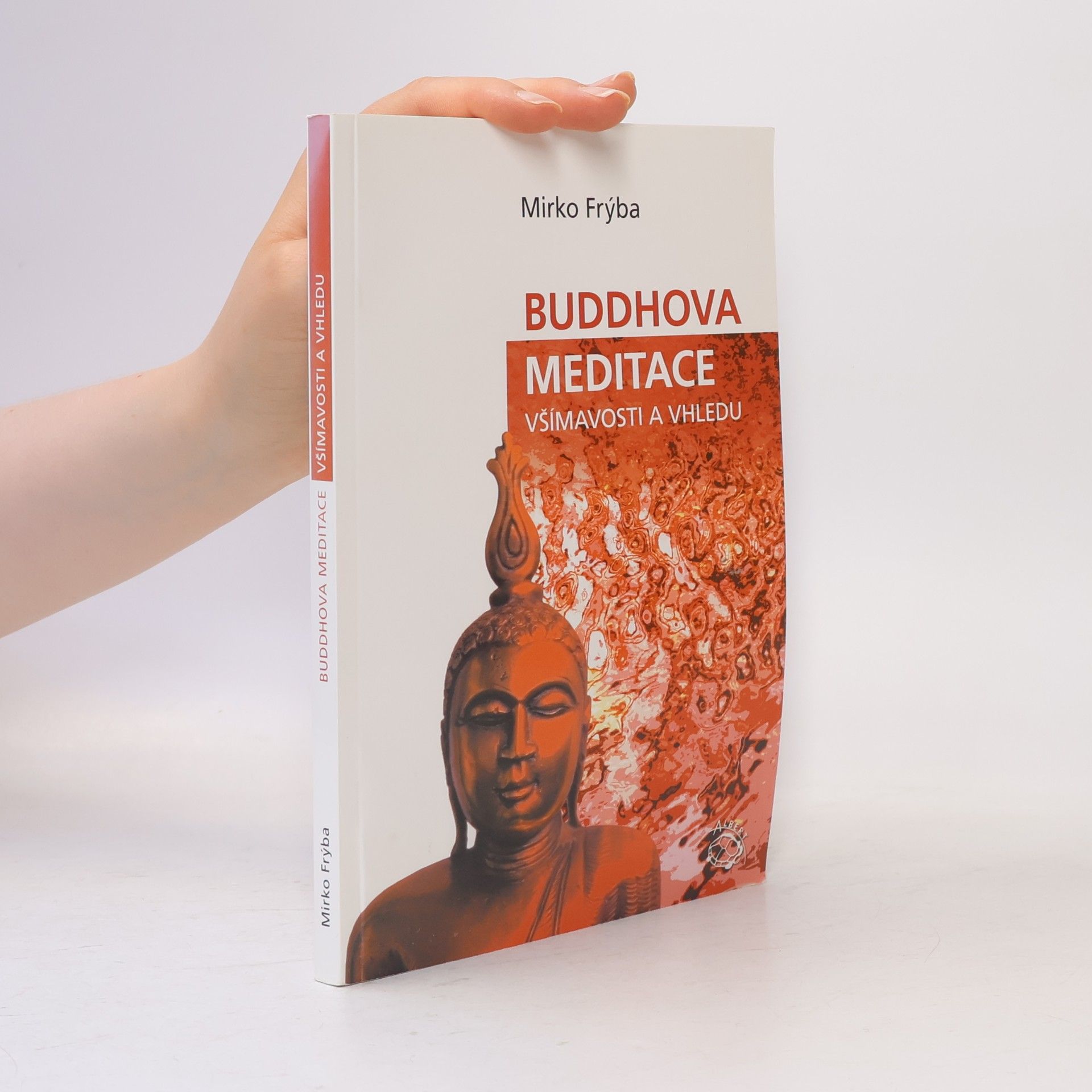 Buddhova meditace všímavosti a vhledu