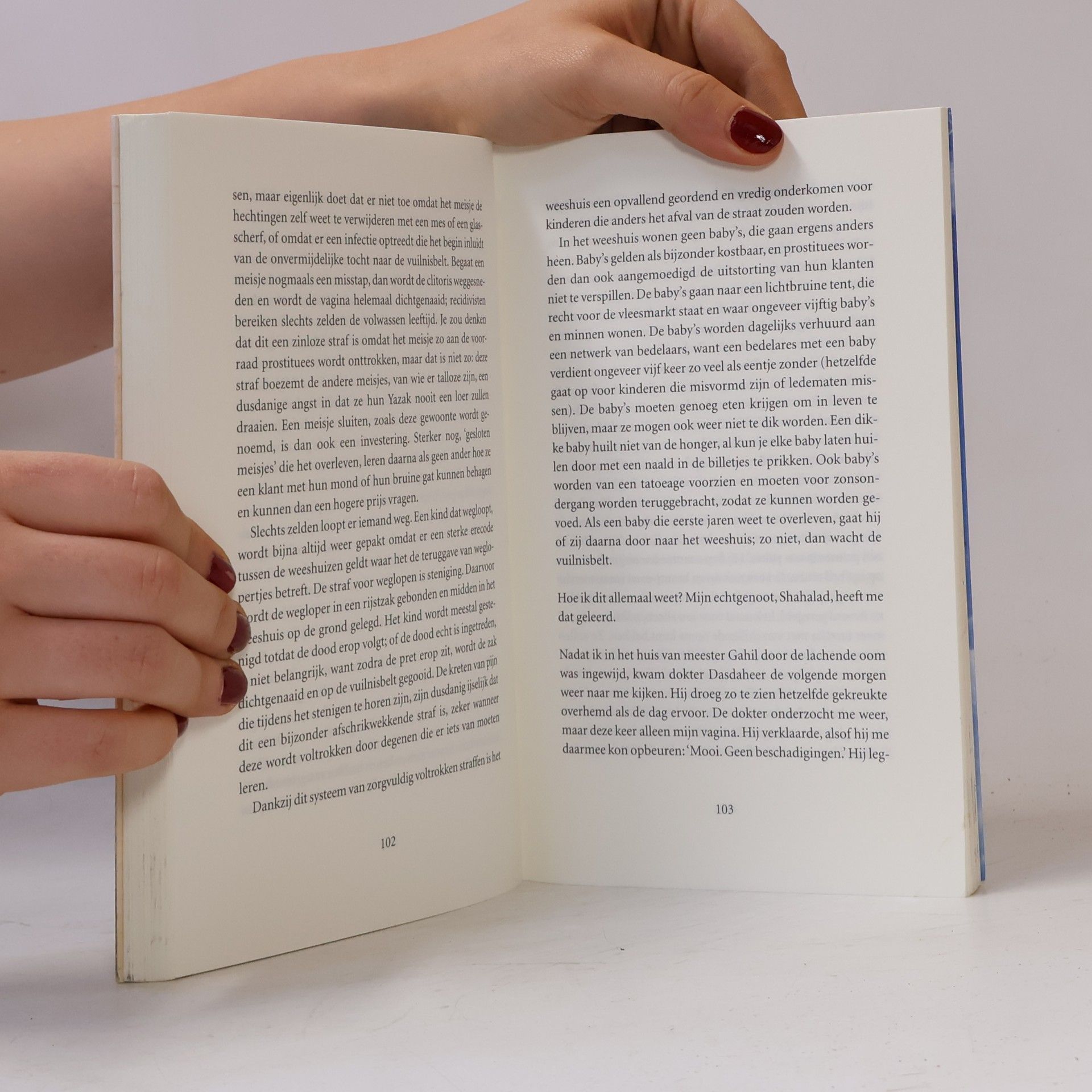 James A. Levine Het blauwe schriftje