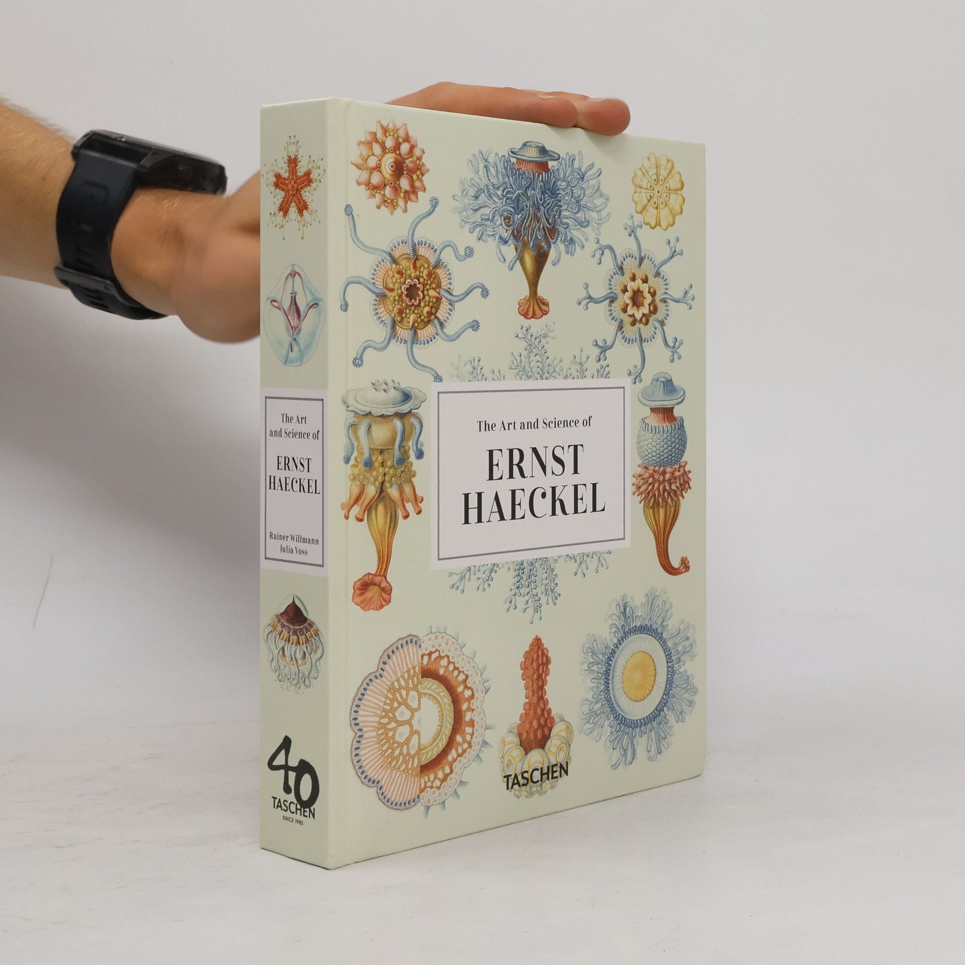 Rainer Willmann The art and science of Ernst Haeckel