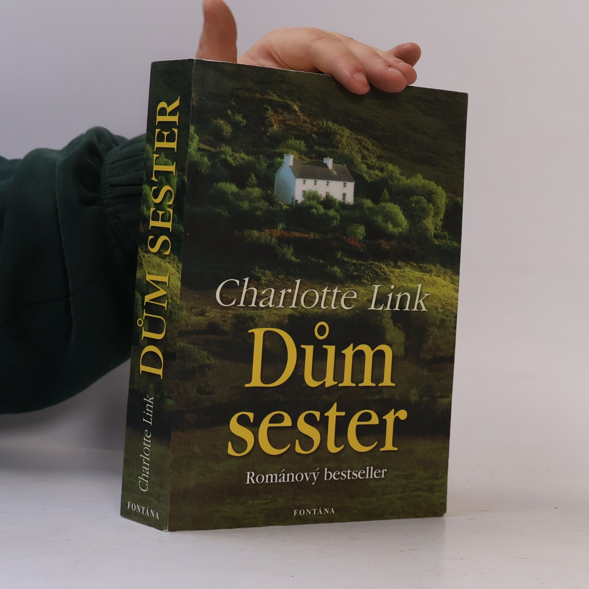 Charlotte Link Dům sester
