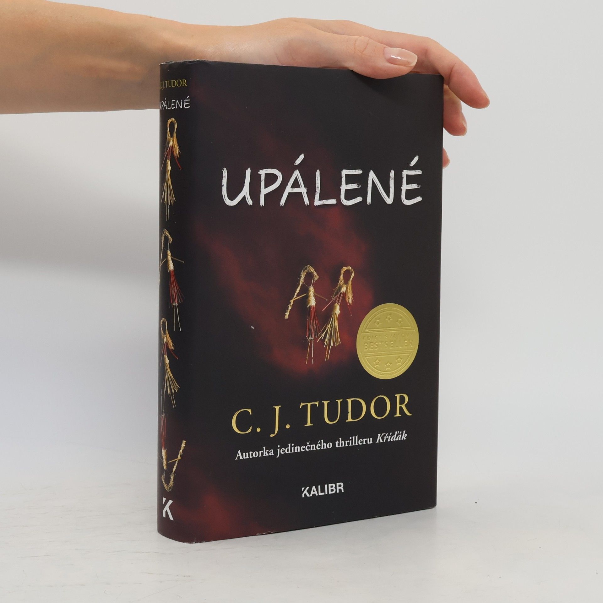 C. J. Tudor Upálené