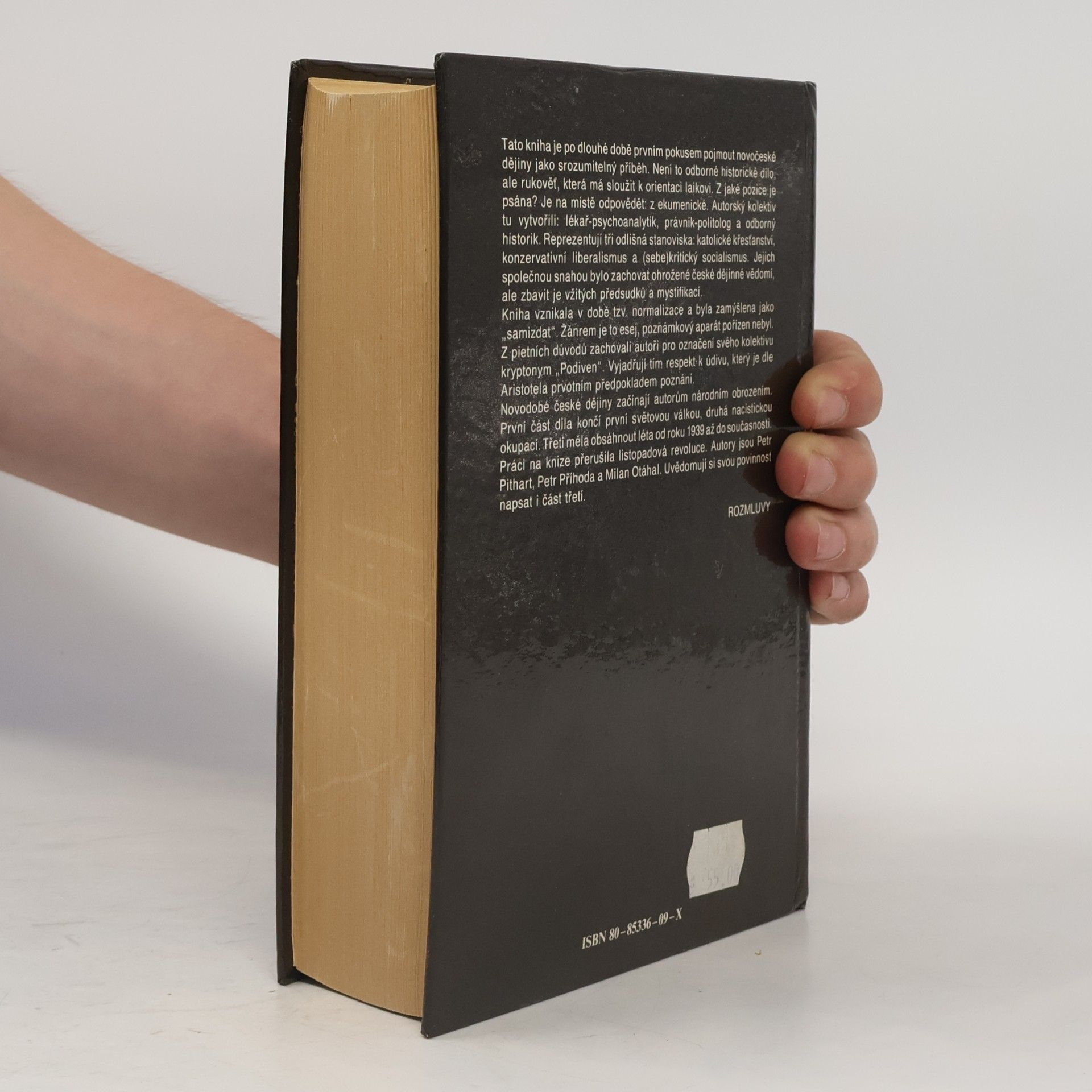 Various authors Češi v dějinách nové doby : pokus o zrcadlo