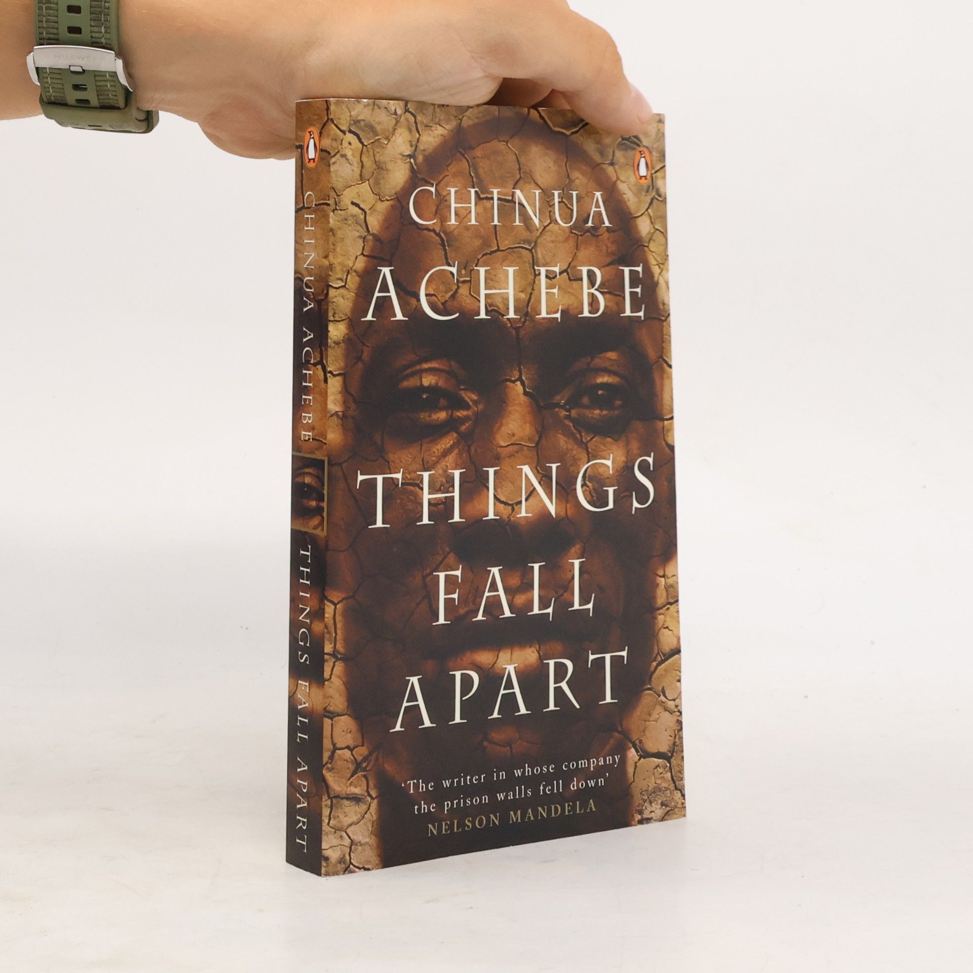 Chinua Achebe Things Fall Apart