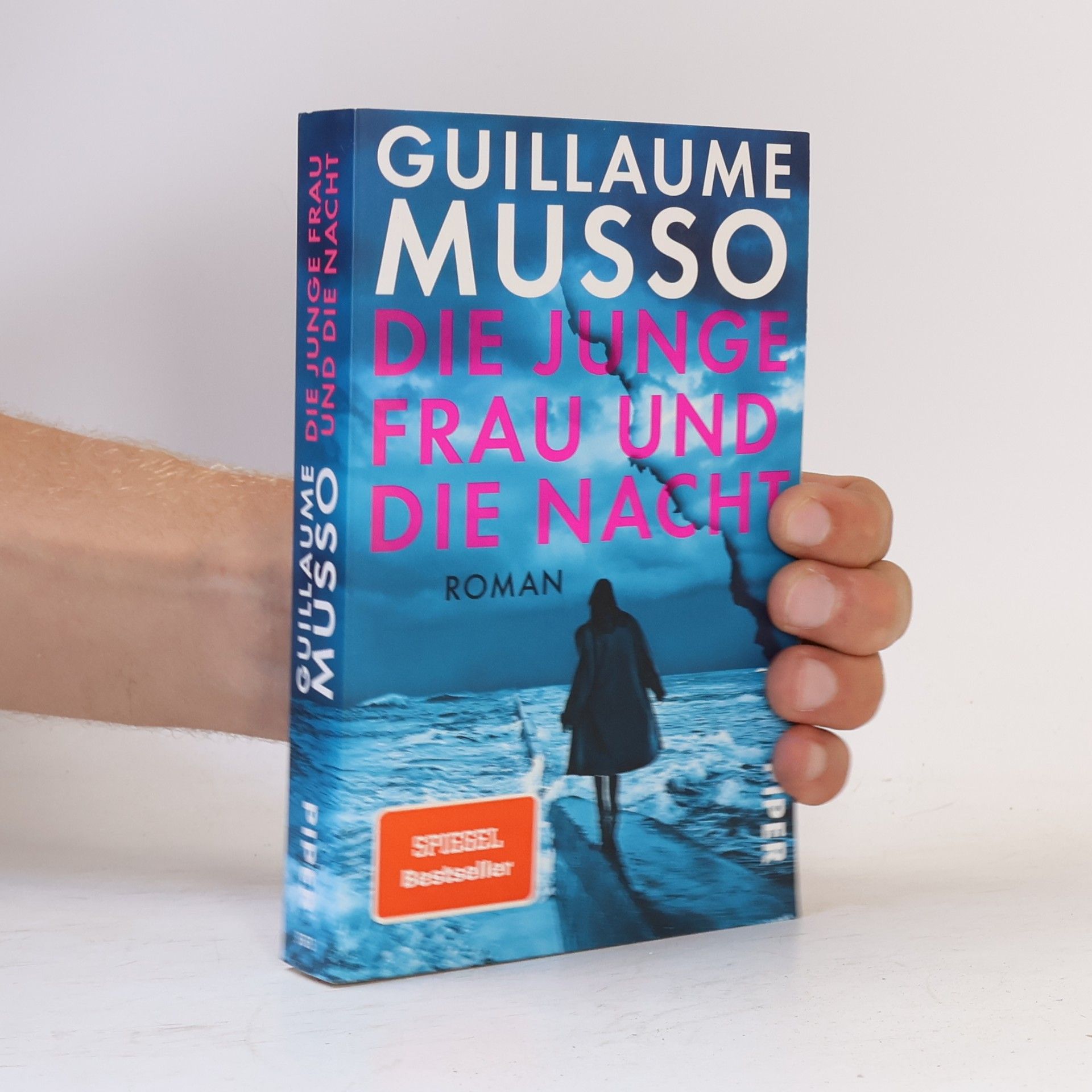 Guillaume Musso Die junge Frau und die Nacht