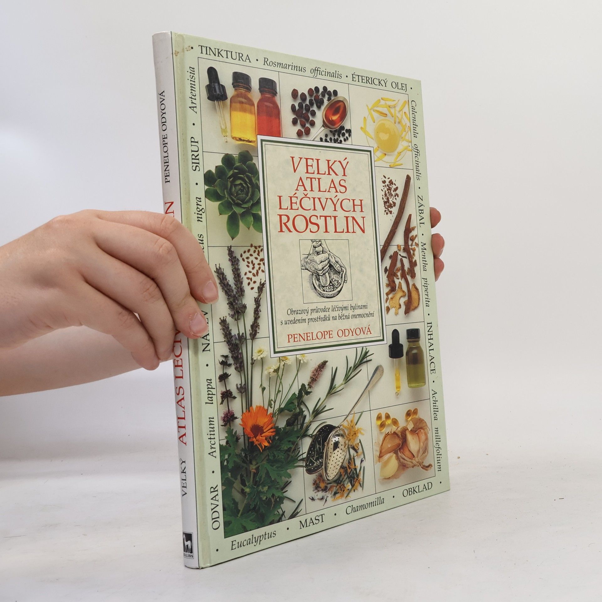 Penelope Ody Velký atlas léčivých rostlin
