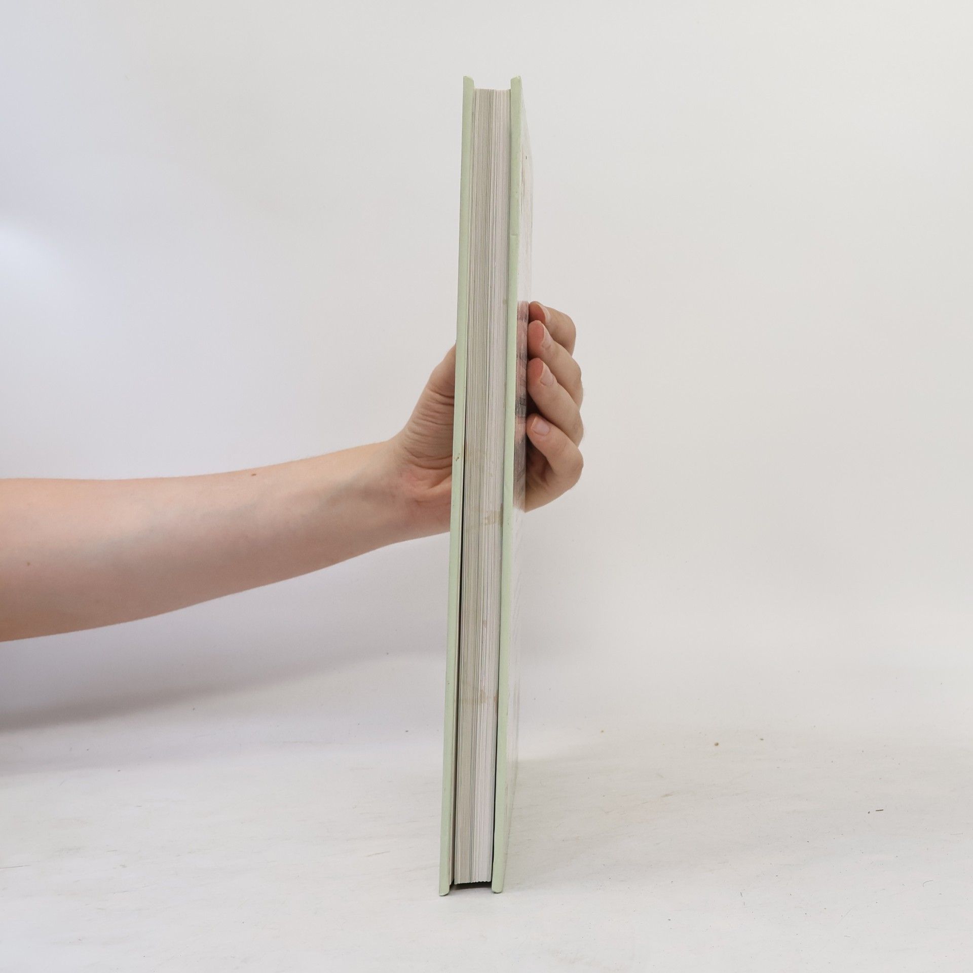 Penelope Ody Velký atlas léčivých rostlin